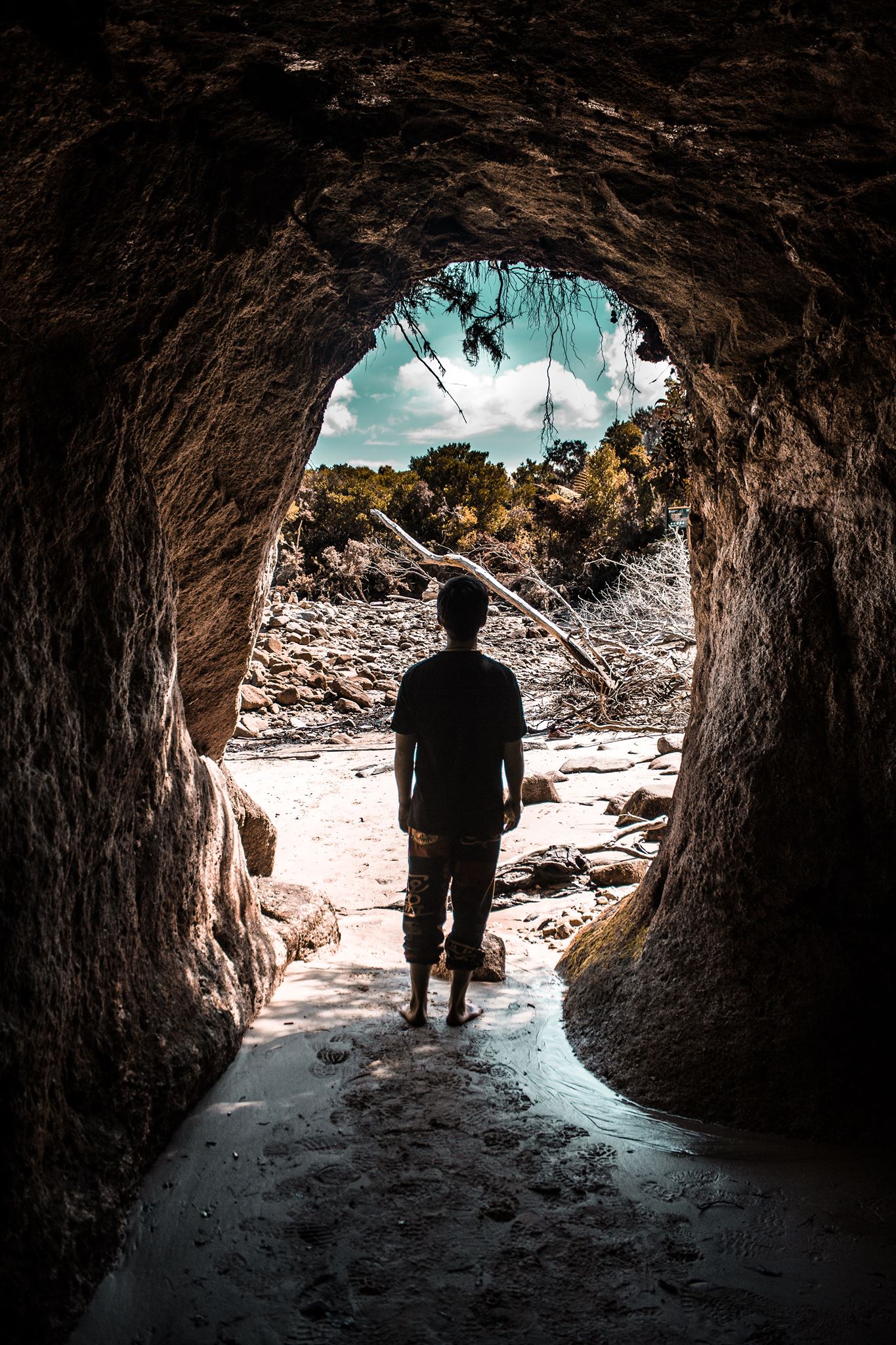 David in New Zealand archway pic.jpg