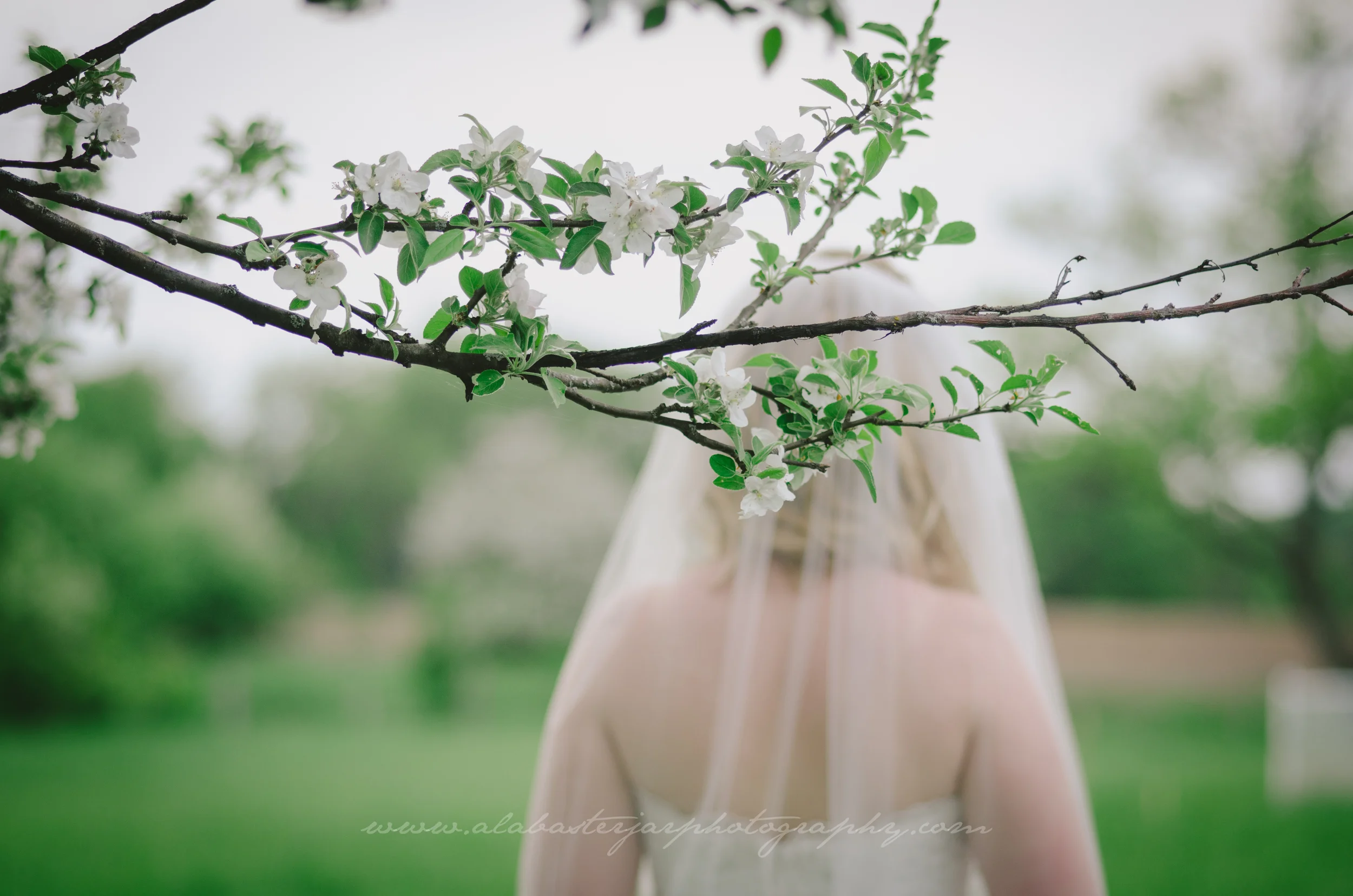 jenna-rae-28-of-125.jpg