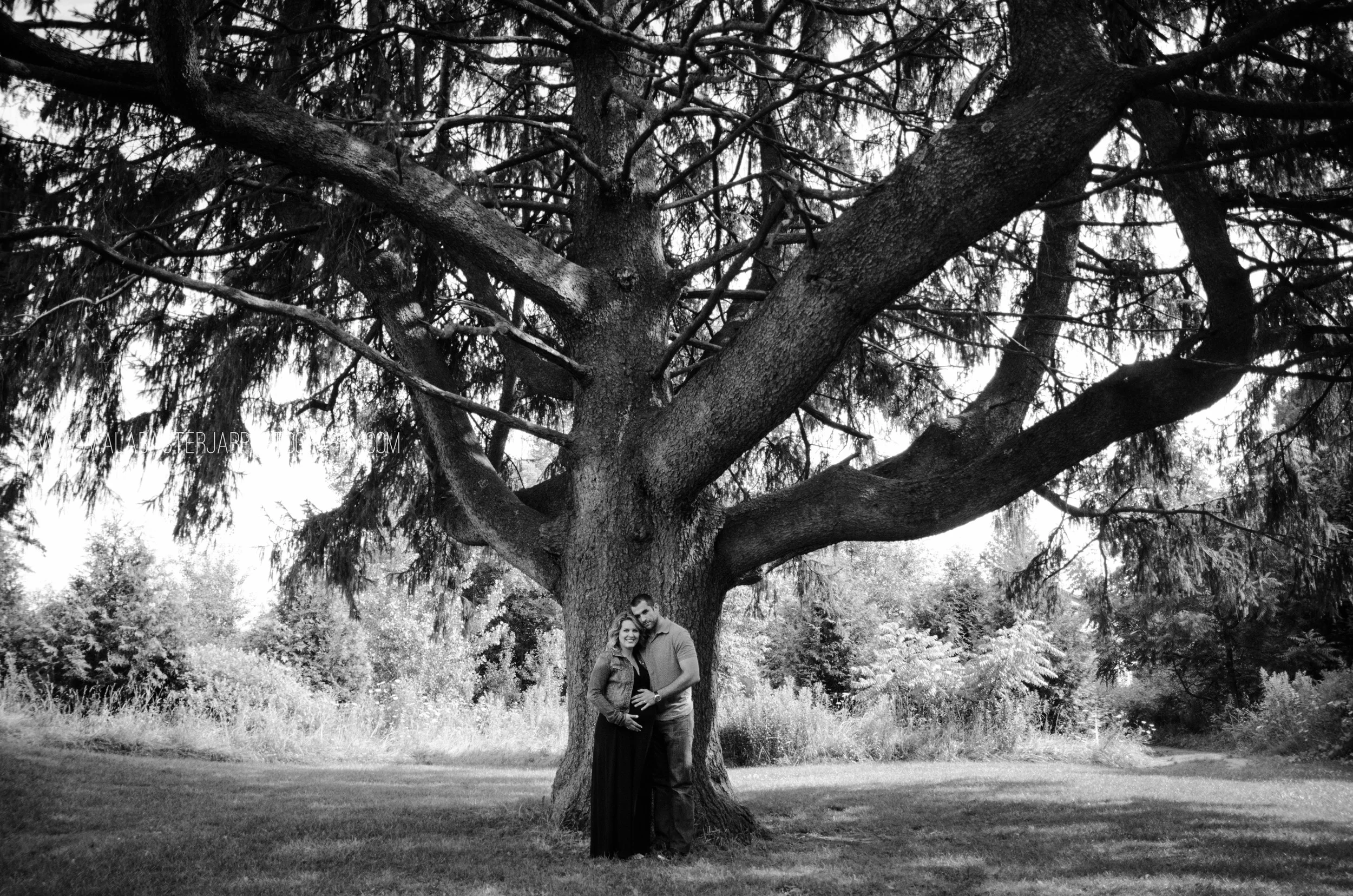 Landscape Lenna (32 of 62)