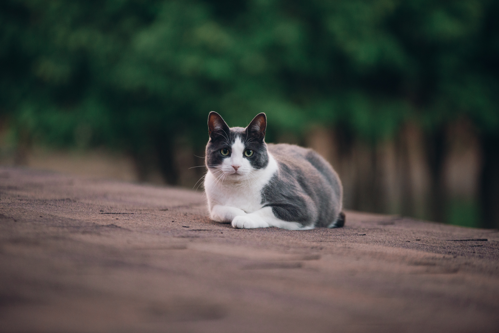 memroies (1 of 1)-3.jpg