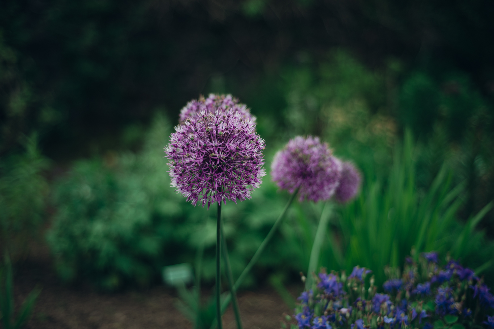 memroies (1 of 1)-19.jpg