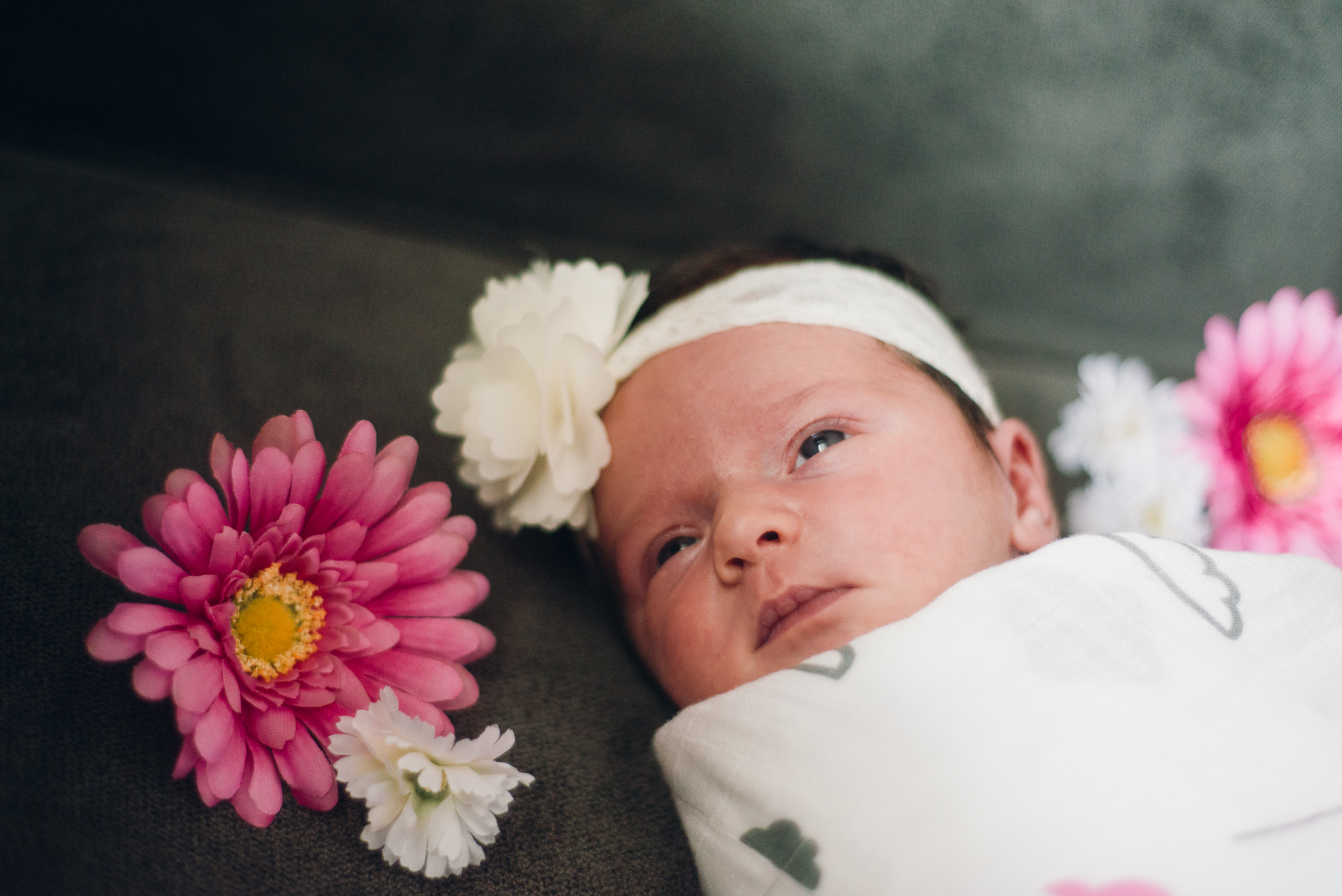 Sutton Family Session (25 of 32).jpg