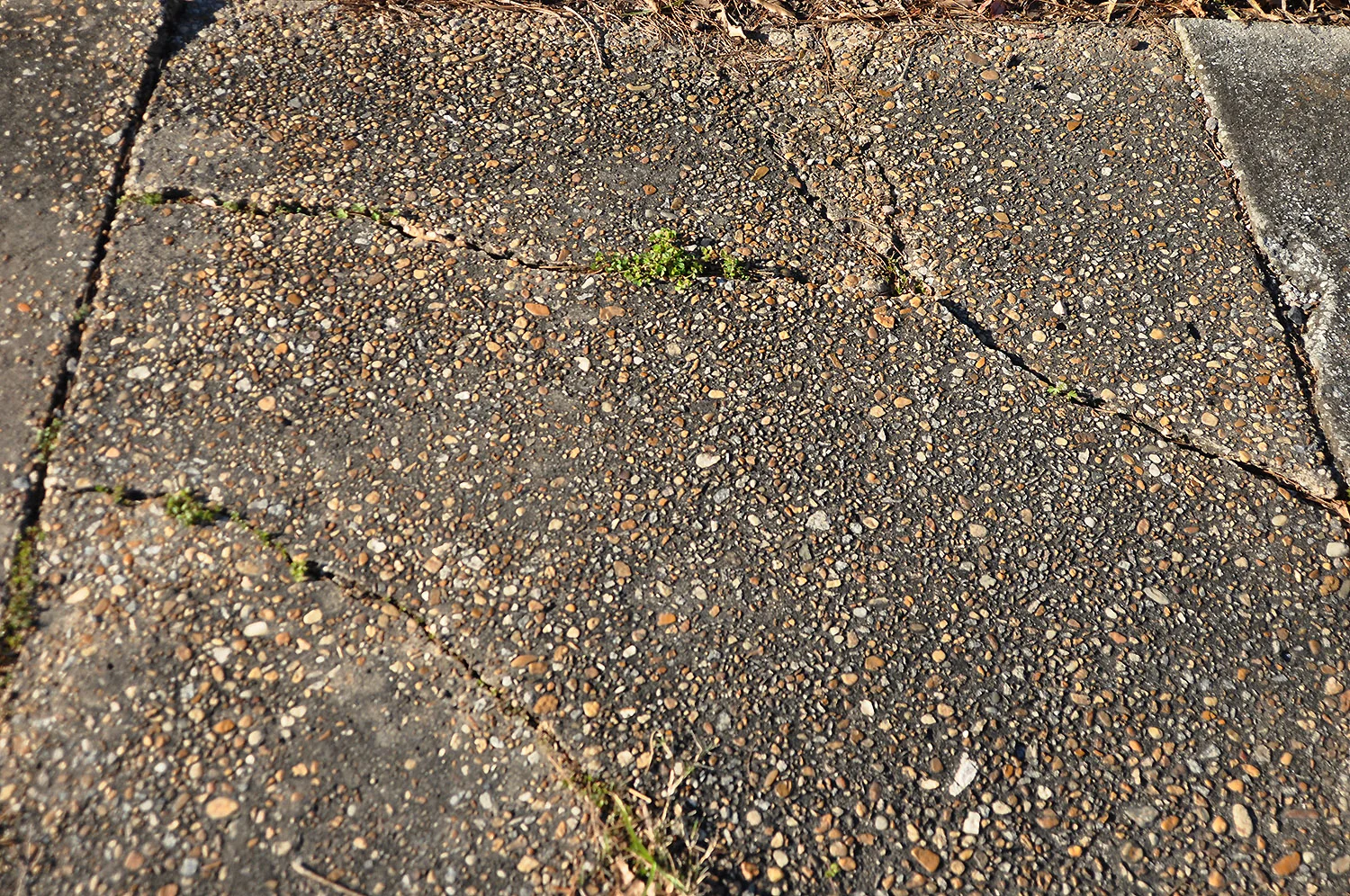Concrete sidewalk, unpatterned