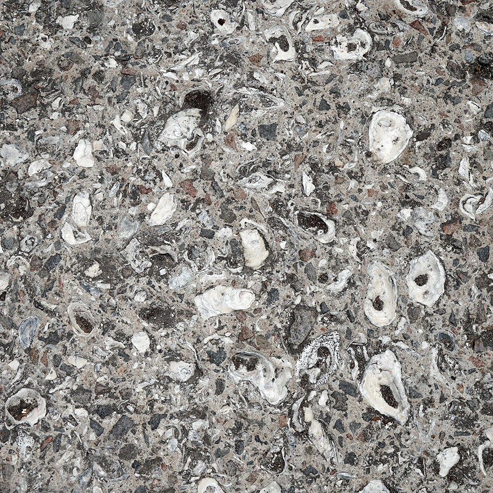 Concrete - Oyster Shell Aggregate