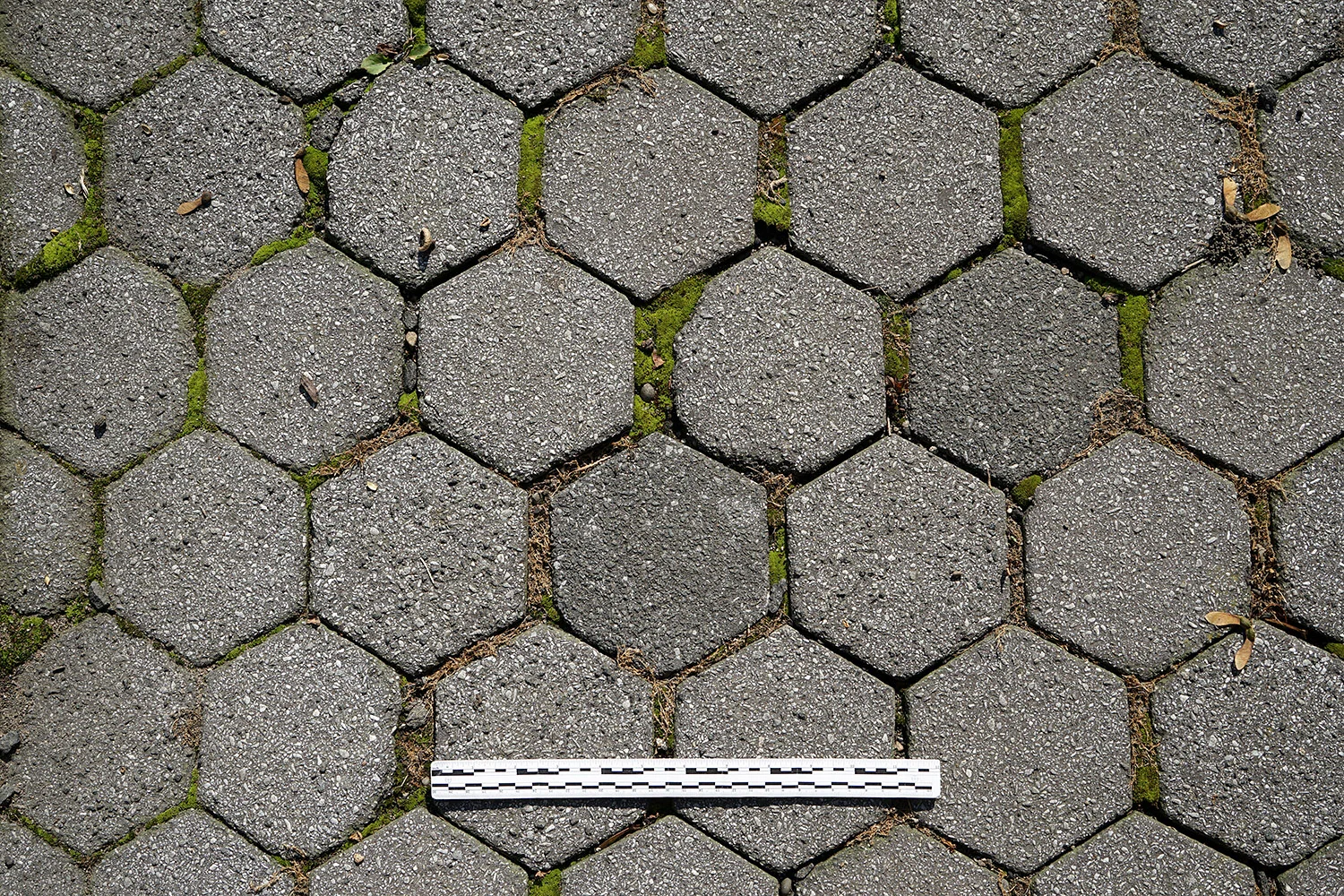 Hexagonal Asphalt Pavers -- Hastings-on-Hudson, NY, Riverview Place