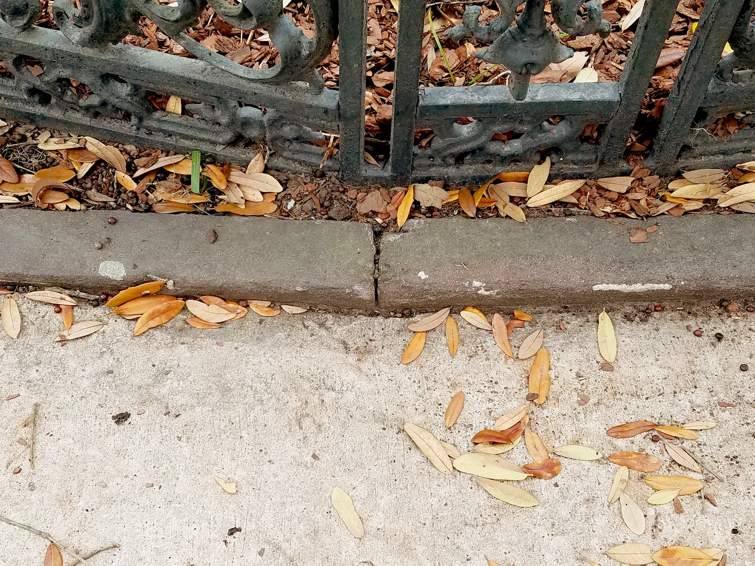 Sandstone curb, Cotton Exchange Fountain, Savannah