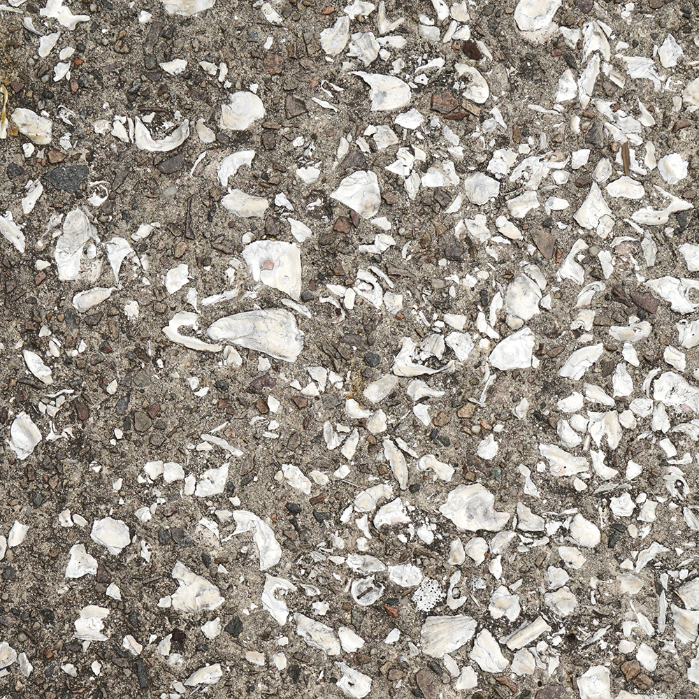 Concrete with oyster shell aggregate