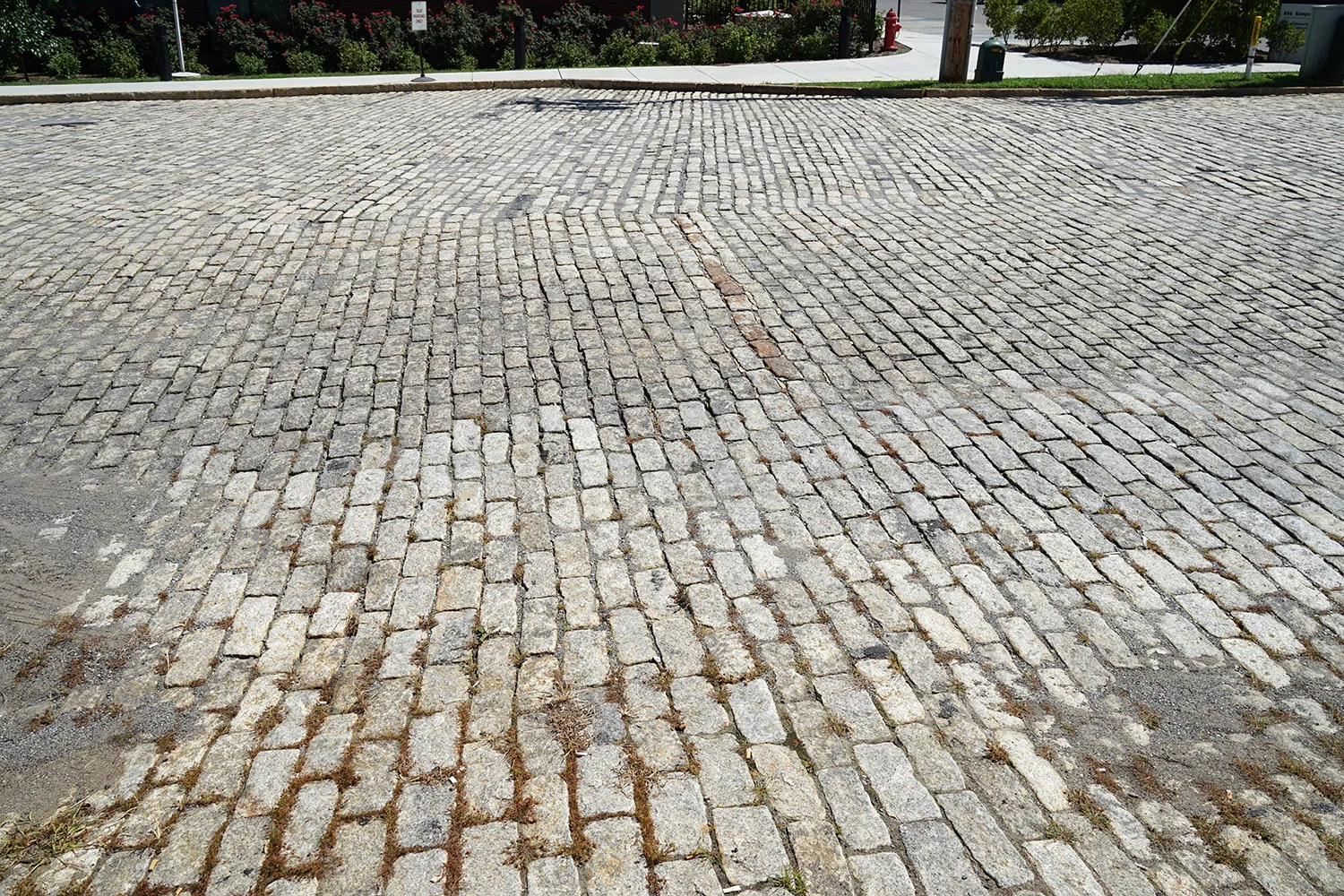 Kemper Street, 2016