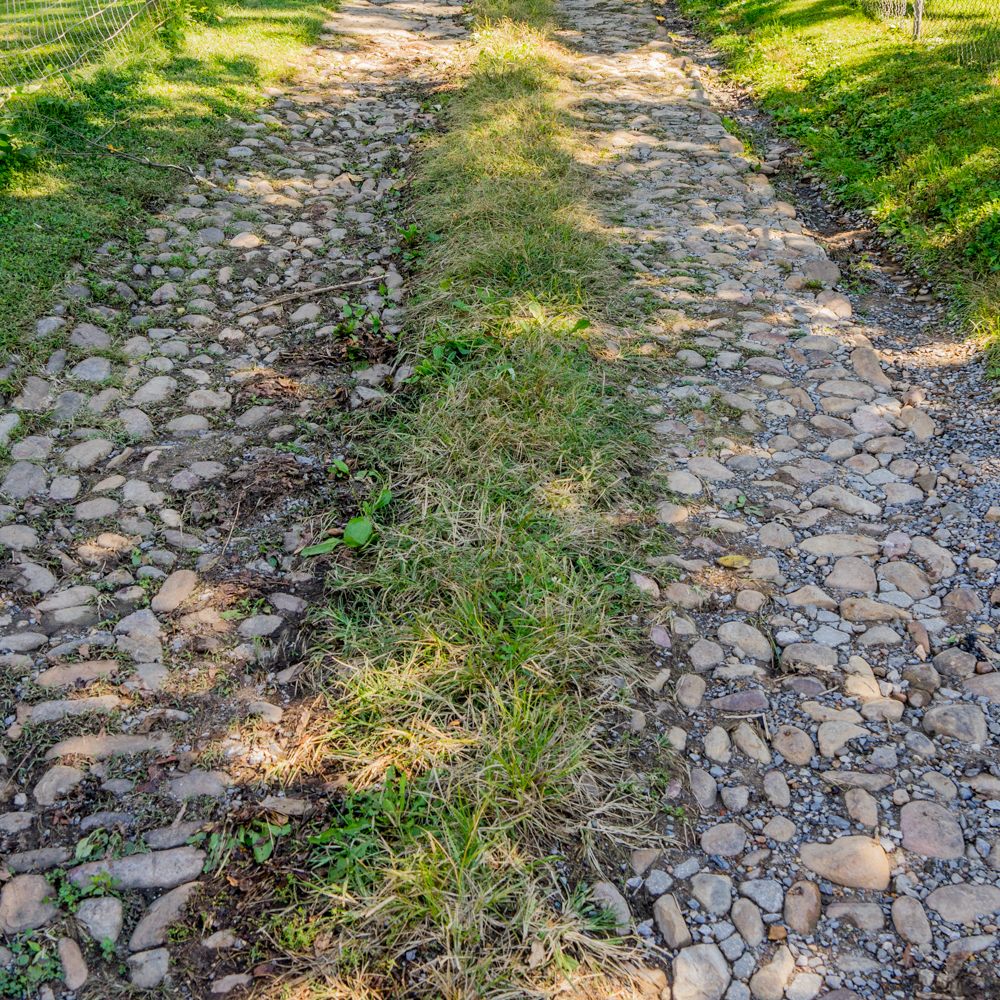 Cobblestones