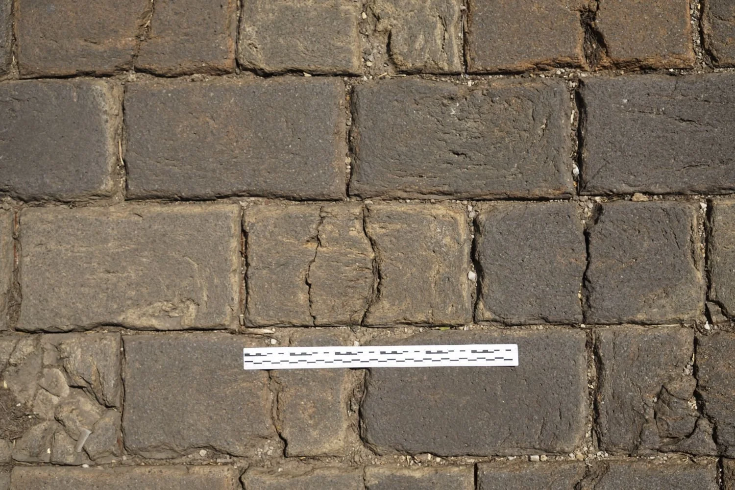 City Park Avenue near East Kossuth Street, 2016