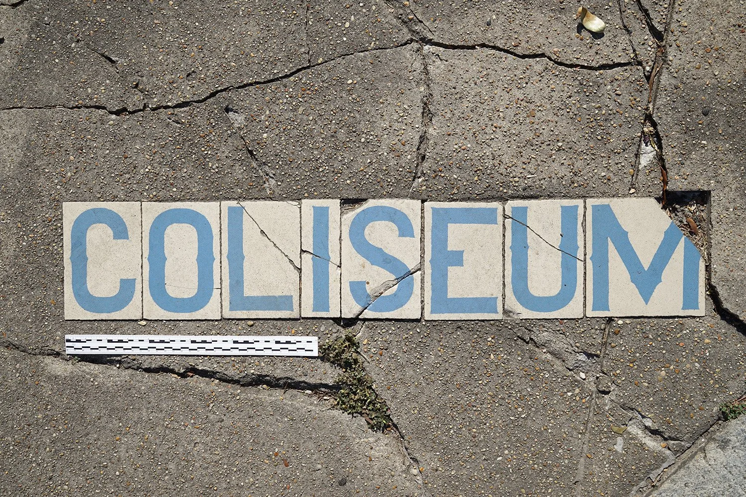 DSC03954_sidewalk_embedded signage_New Orleans_Coliseum at Felicity_sm.jpg