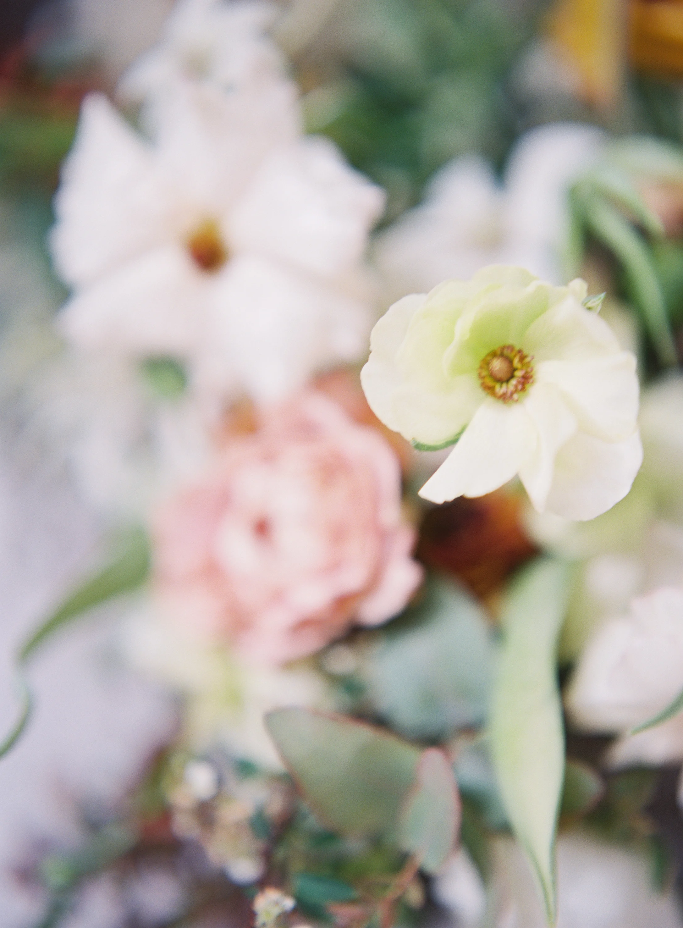 mary-mcleod-for-amy-osaba-yellow-gold-sage-flowers-wedding-heather-payne12.jpg