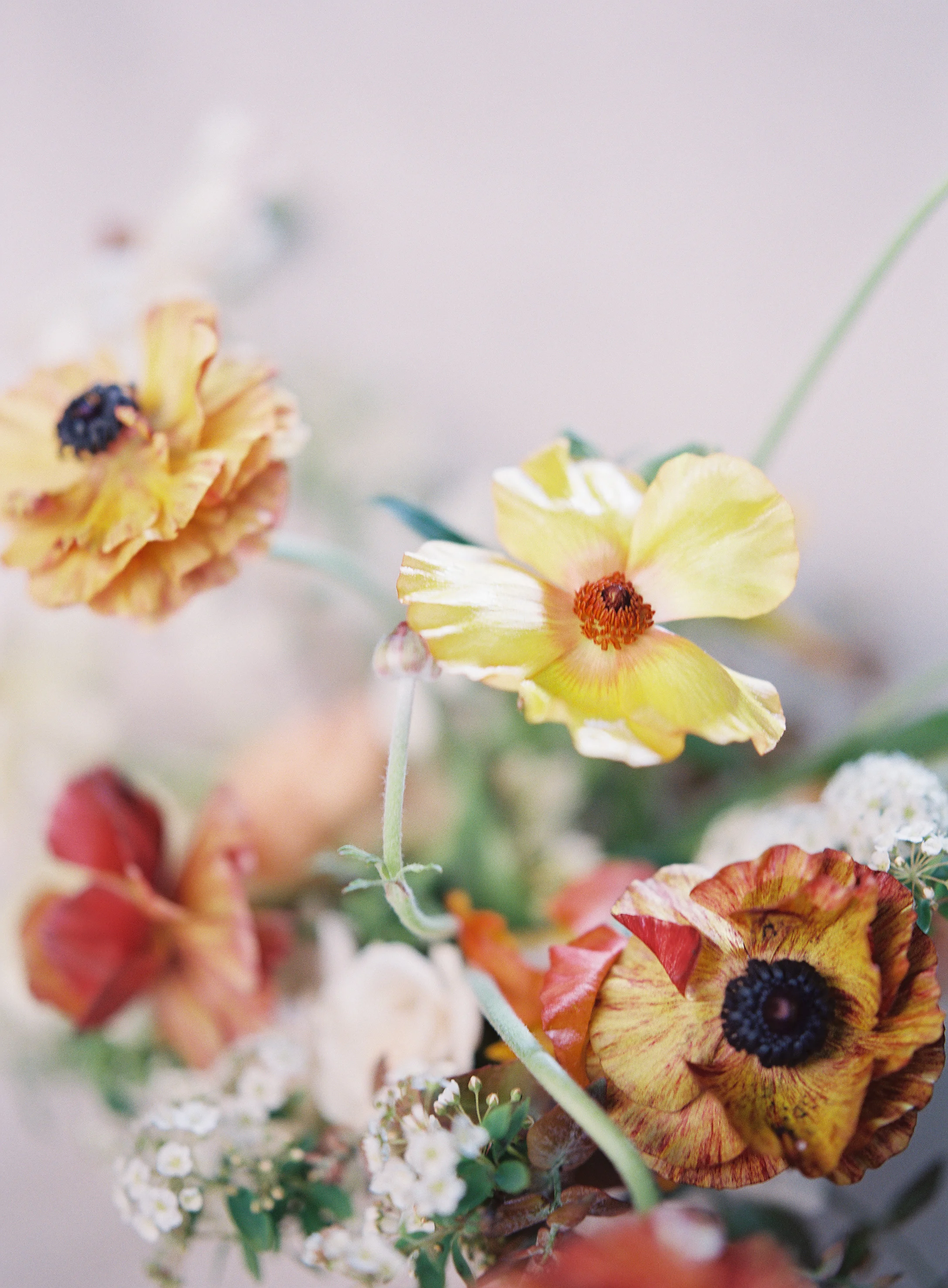 mary-mcleod-for-amy-osaba-yellow-gold-sage-flowers-wedding-heather-payne17.jpg