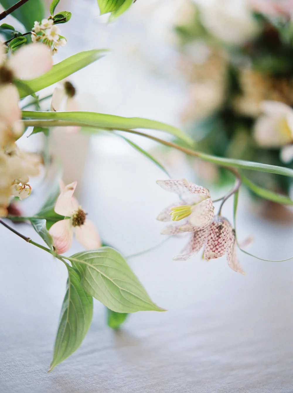 mary-mcleod-amy-osaba-events-ginny-au-soft-spring-flowers-dogwood-hellebore-pink-purple-white-green16.jpg