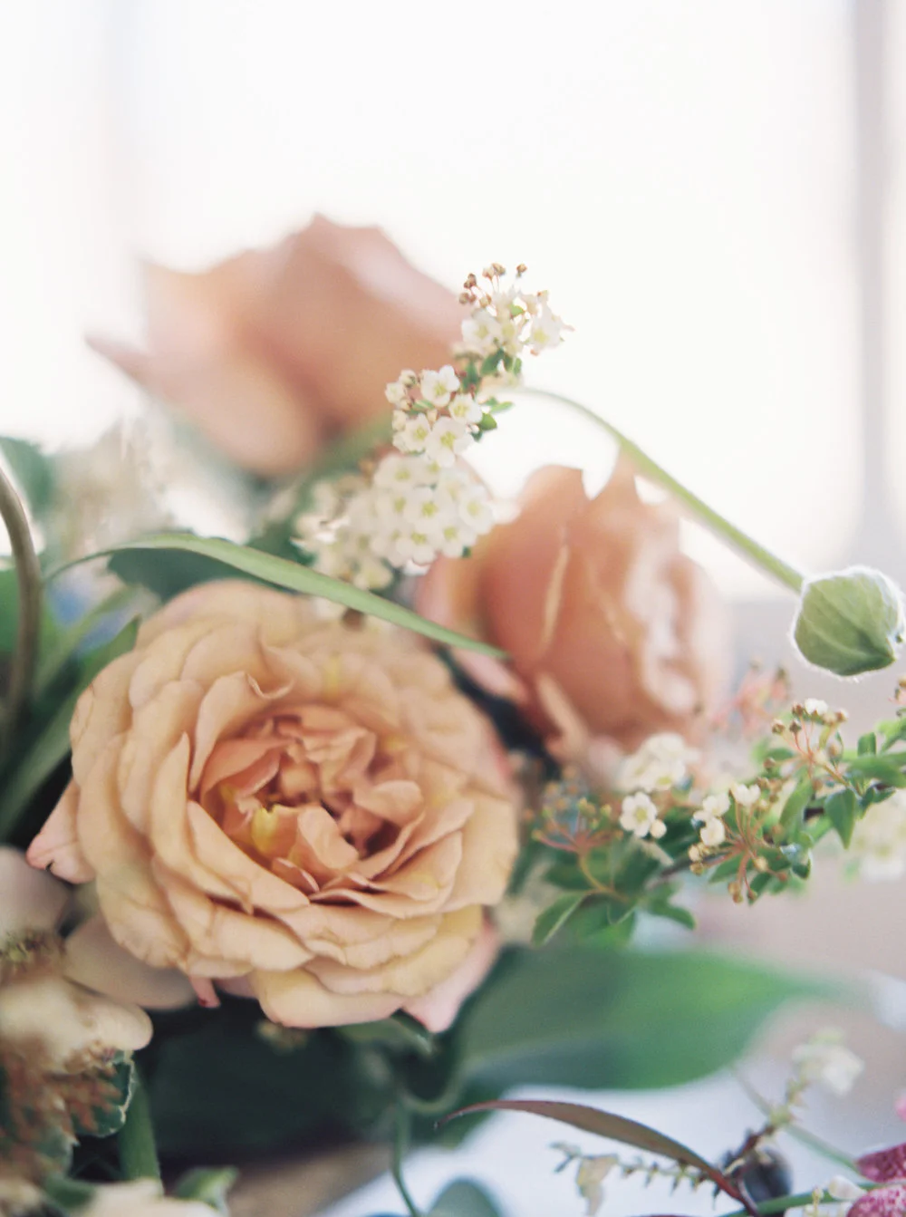 mary-mcleod-amy-osaba-events-ginny-au-soft-spring-flowers-dogwood-hellebore-pink-purple-white-green15.jpg