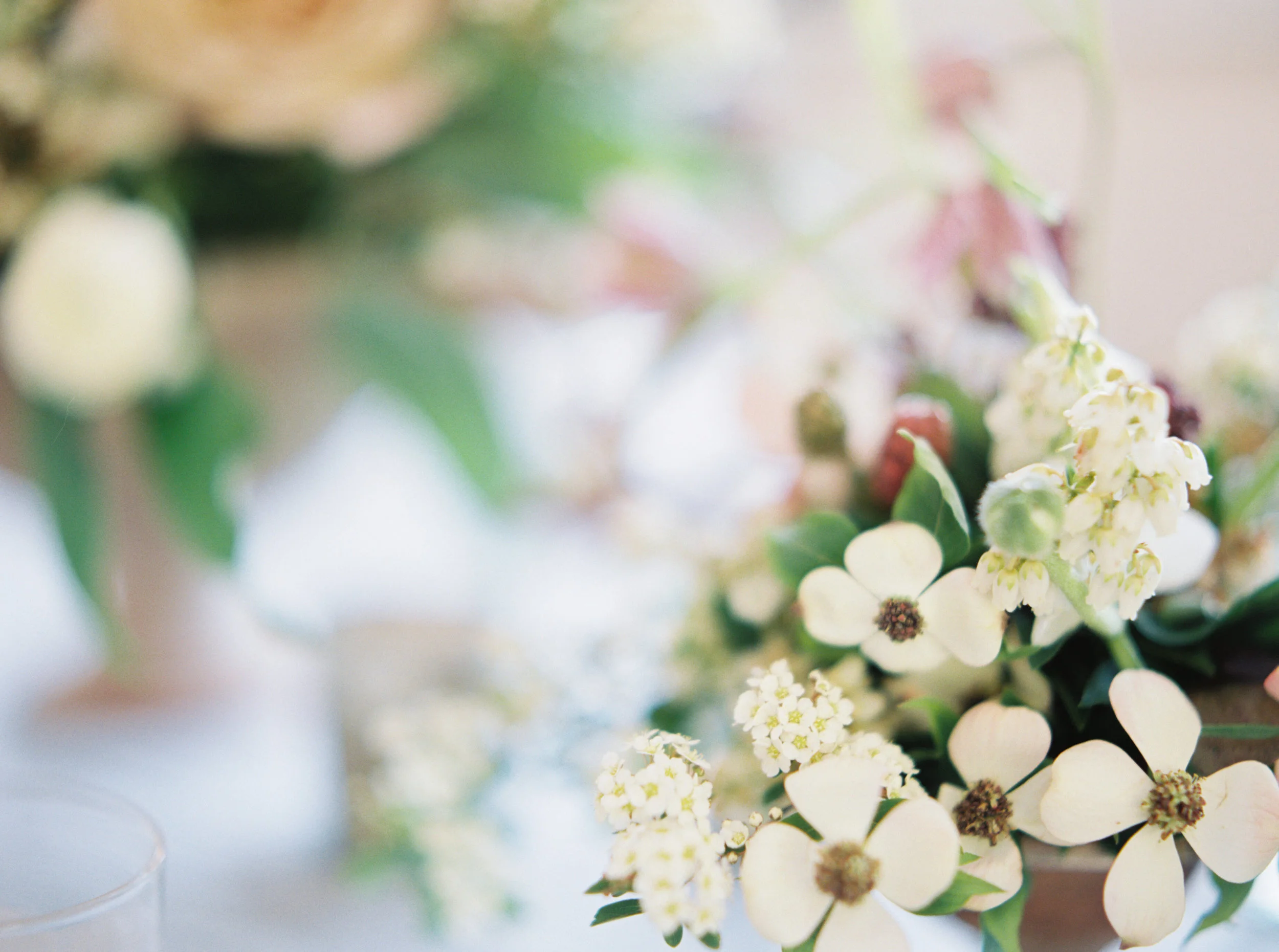 mary-mcleod-amy-osaba-events-ginny-au-soft-spring-flowers-dogwood-hellebore-pink-purple-white-green14.jpg