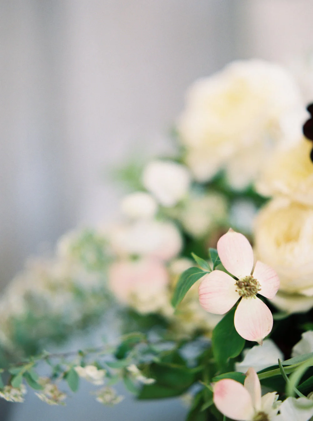 mary-mcleod-amy-osaba-events-ginny-au-soft-spring-flowers-dogwood-hellebore-pink-purple-white-green4.jpg
