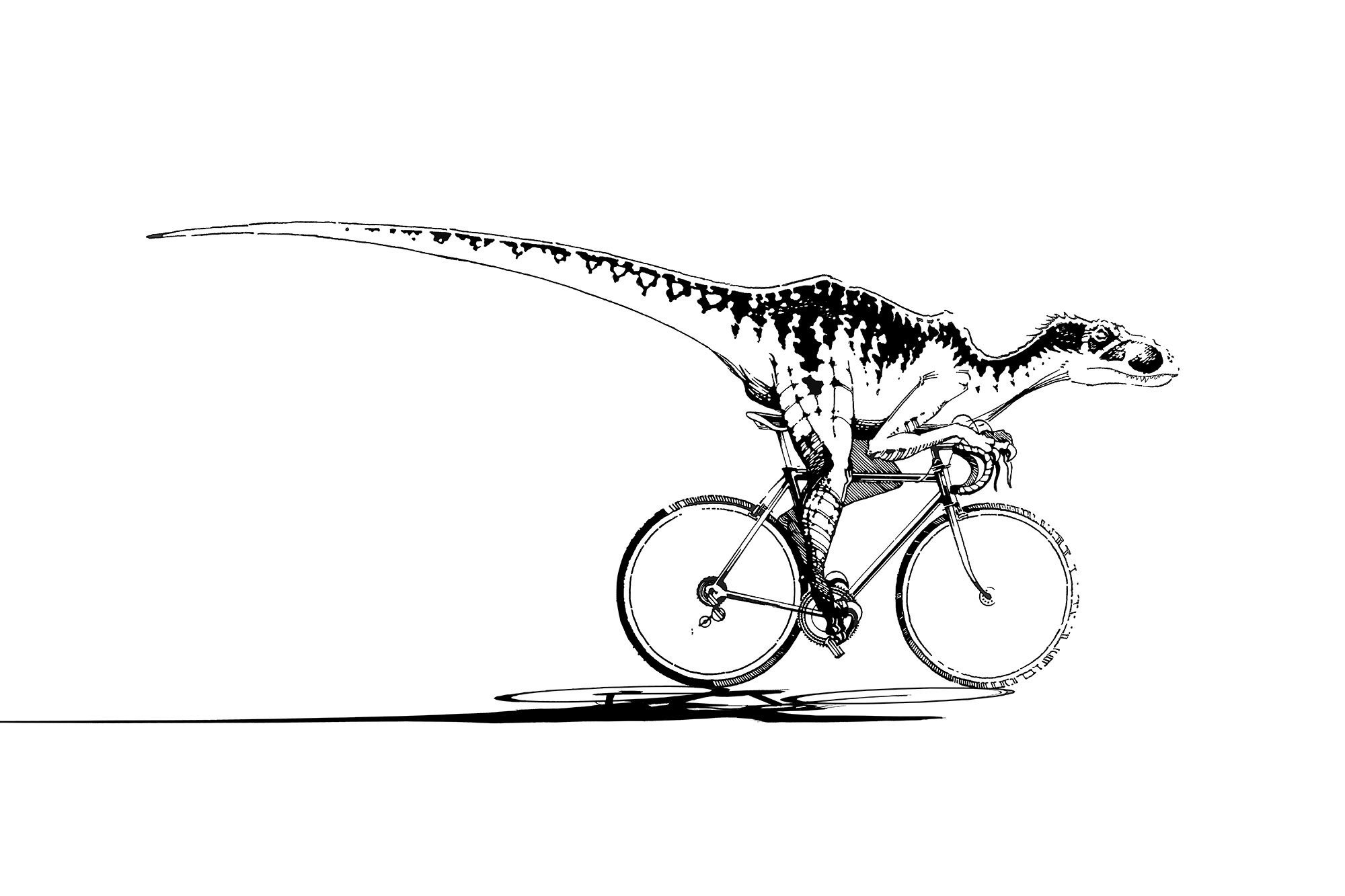 VELO-CIRAPTOR