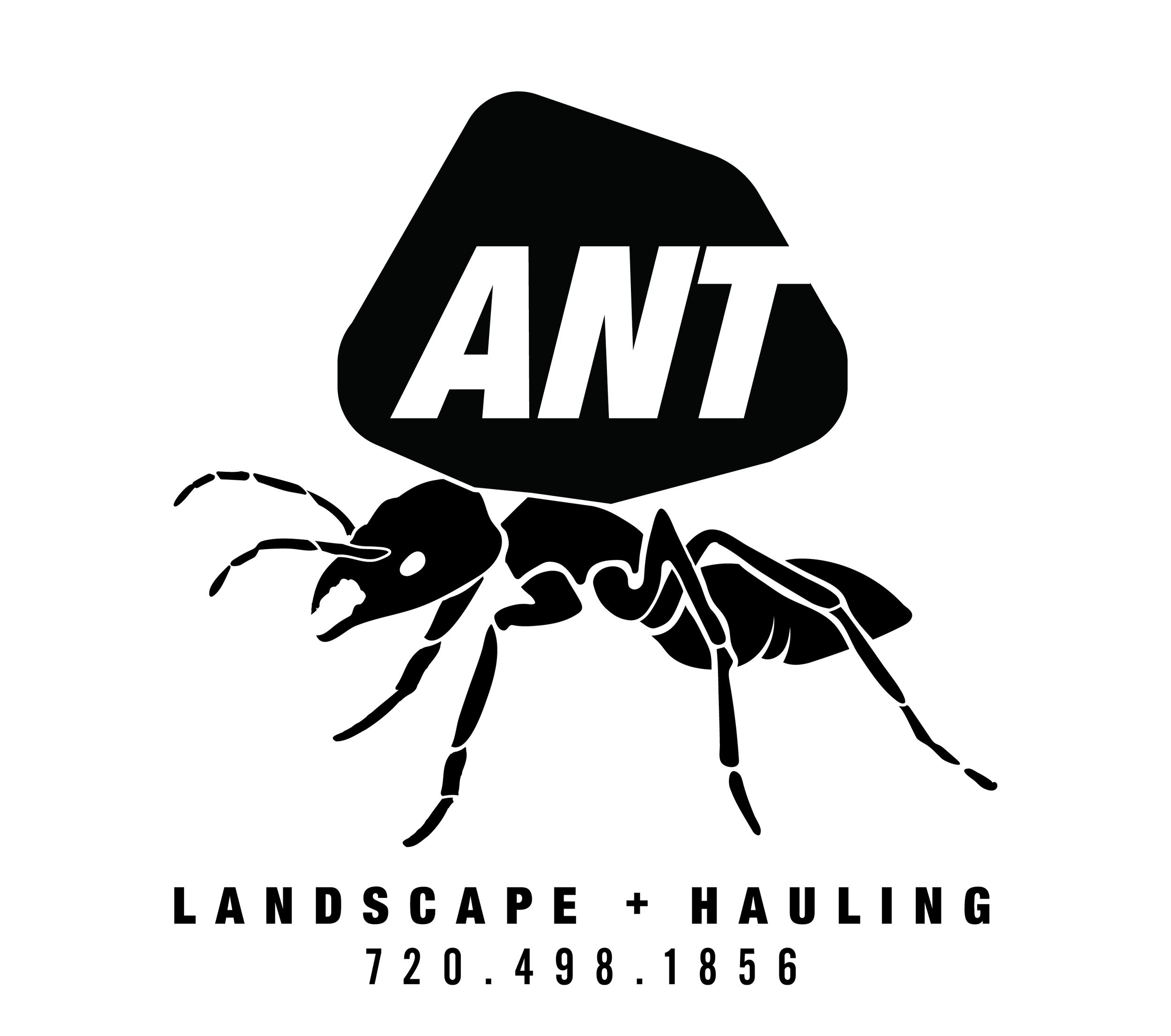 ANT Logo_web.jpg