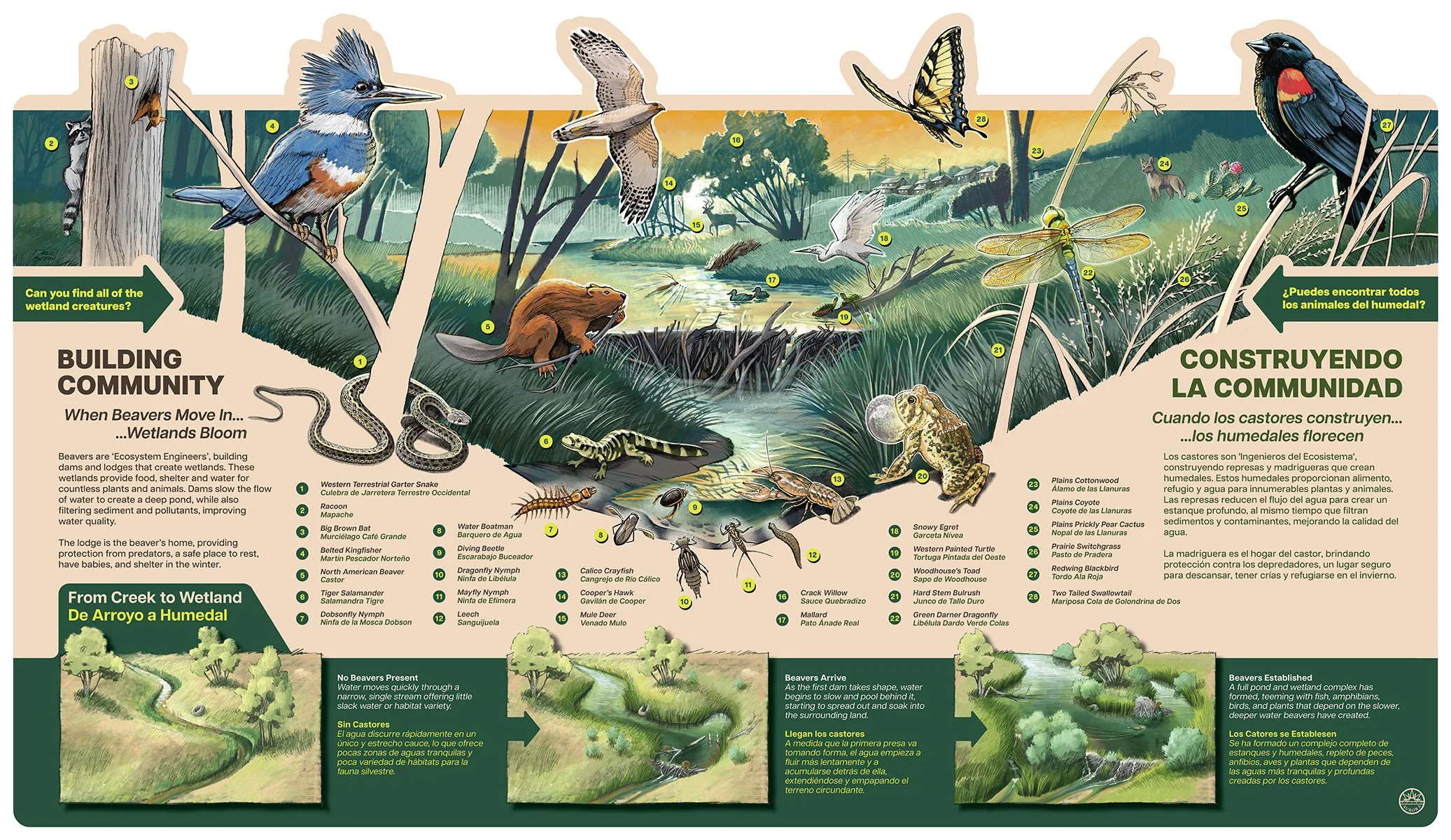 MNC_Signage_Beaver Wetland.jpg