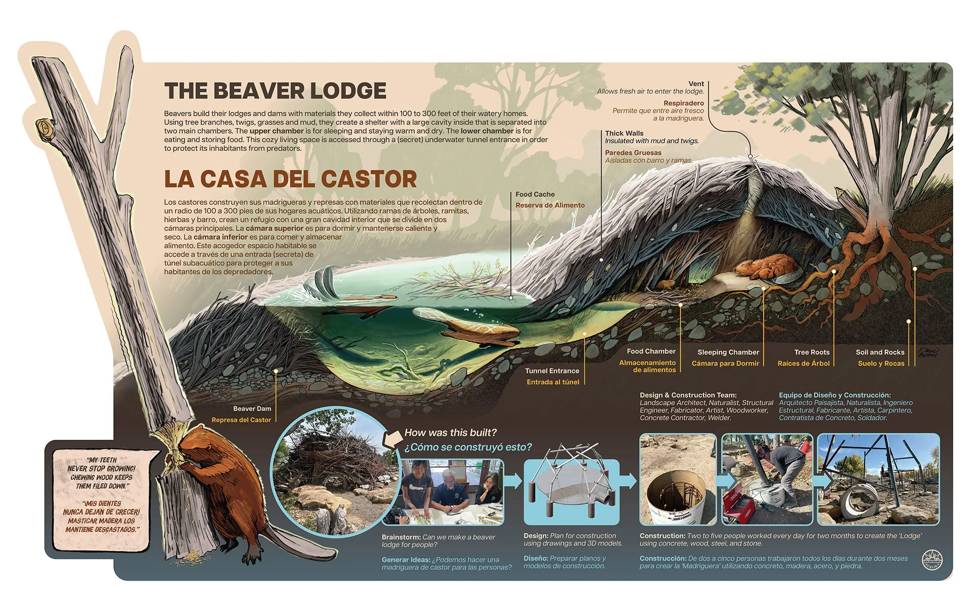 MNC_Signage_Beaver Lodge.jpg
