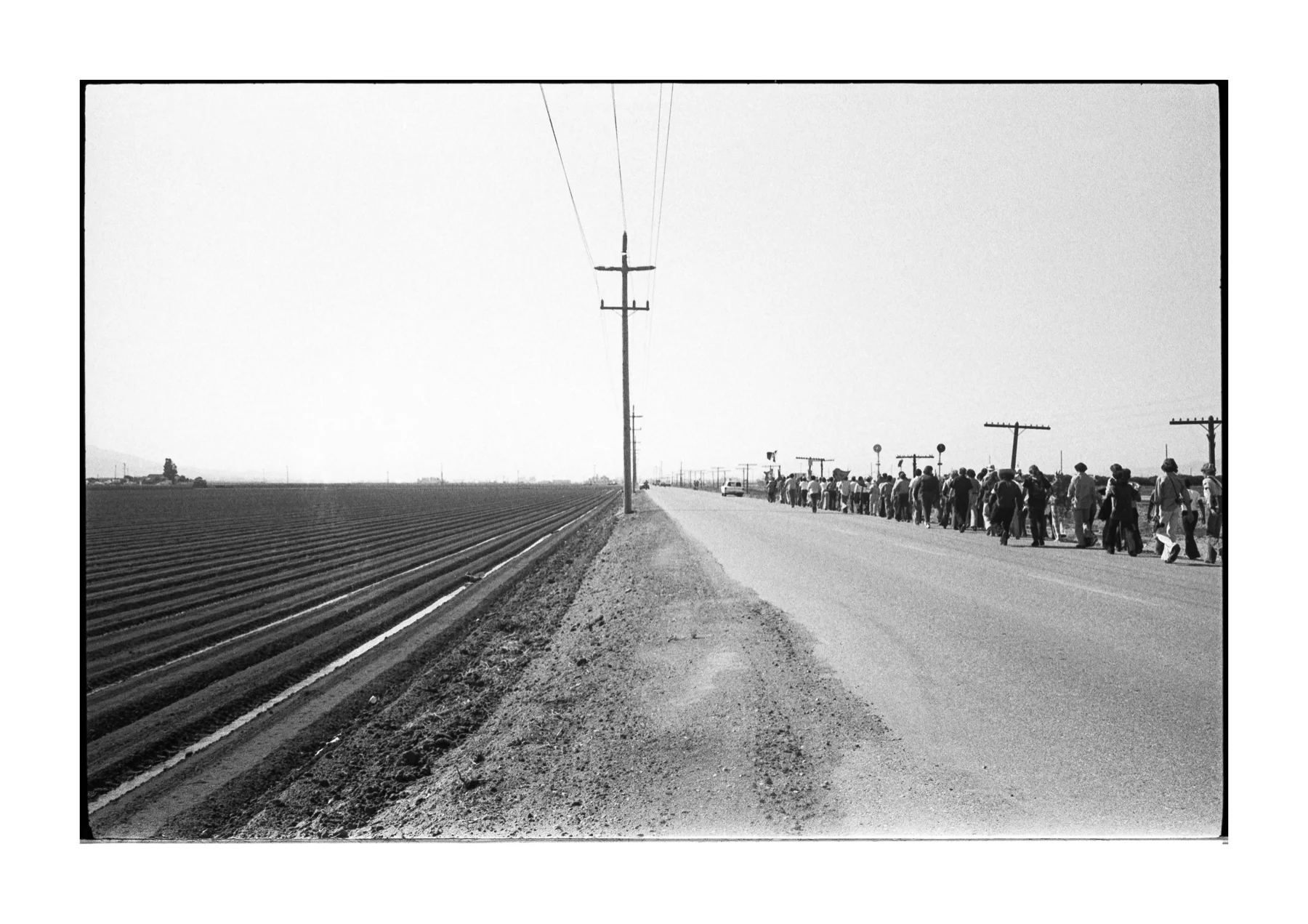farmworkers-1-38.jpg