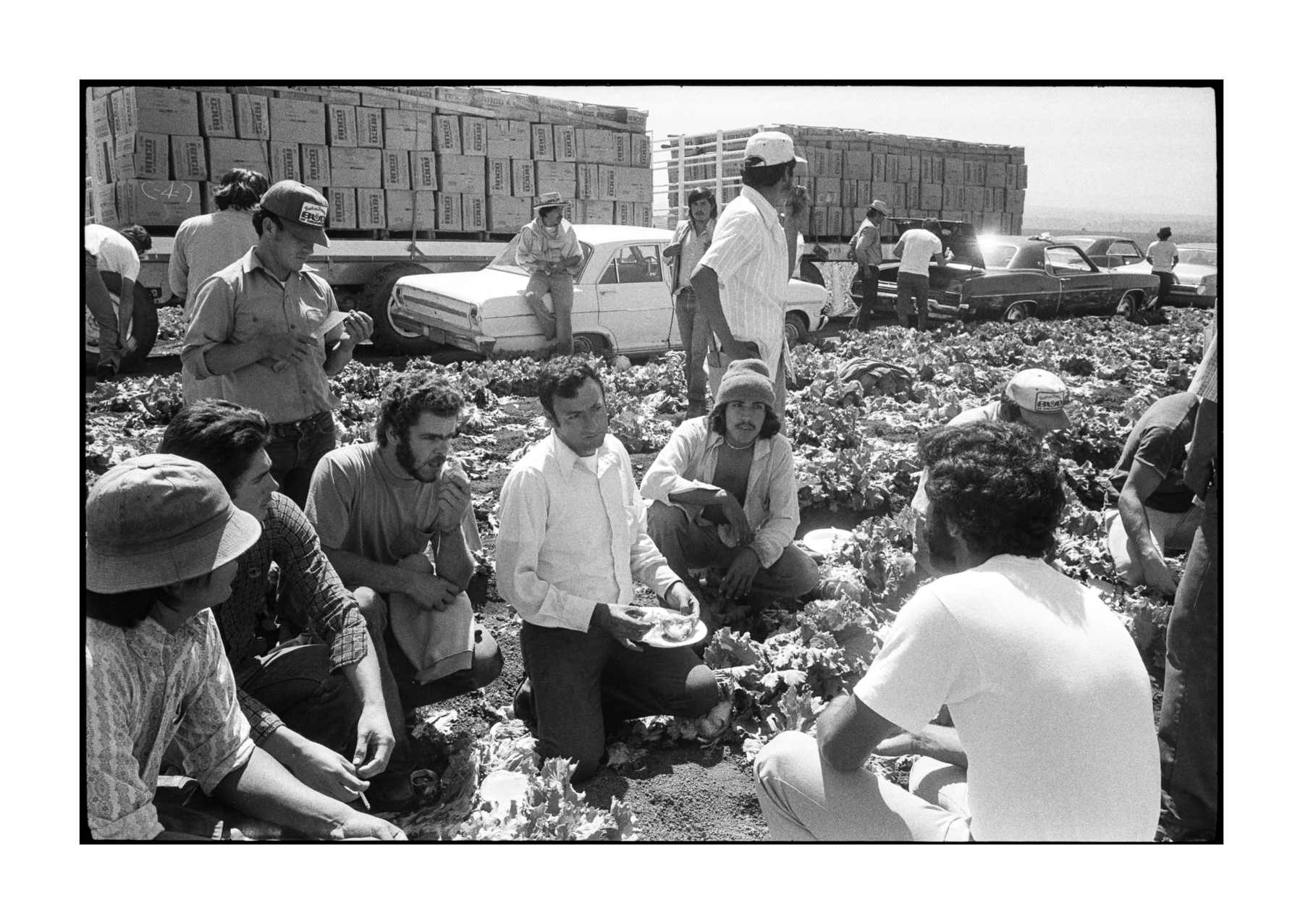 farmworkers-1-98.jpg