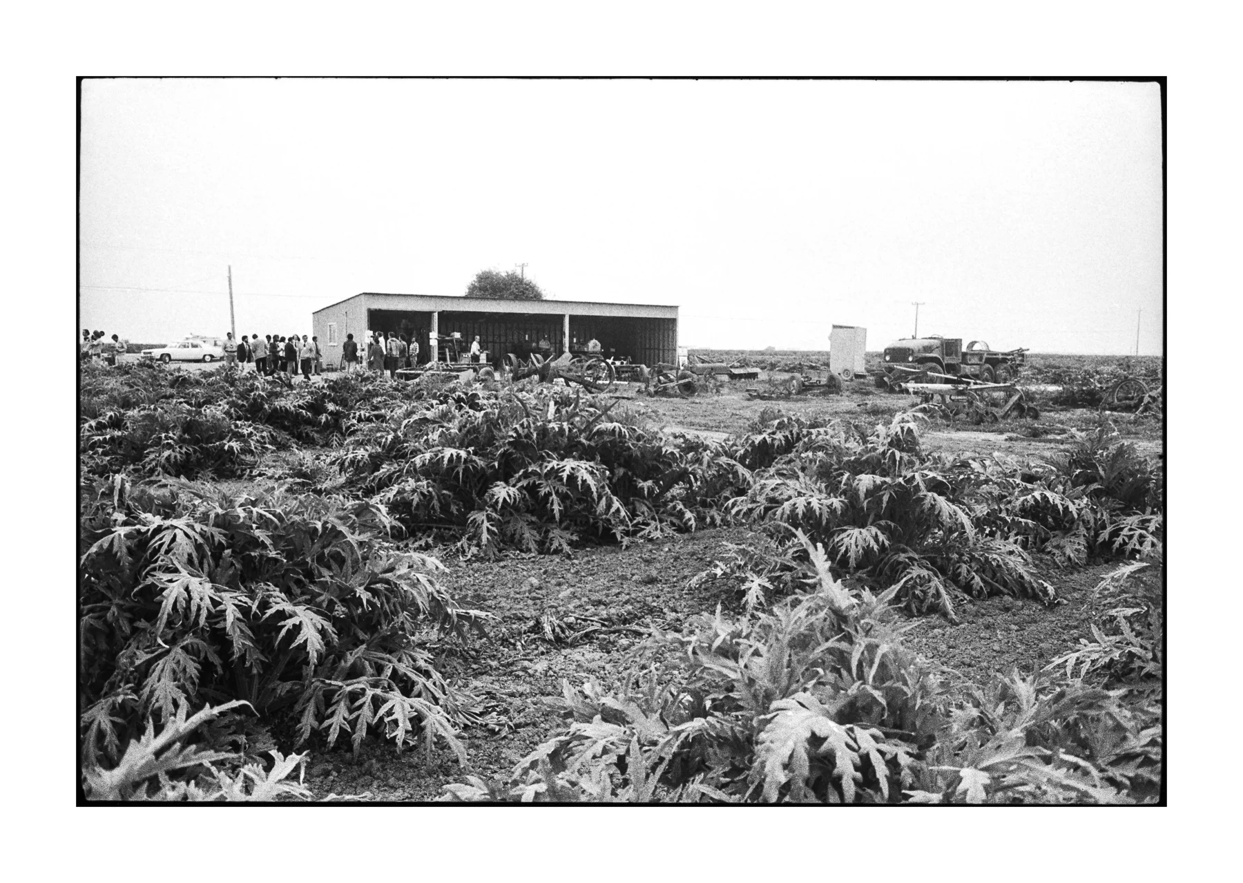 farmworkers-2.jpg