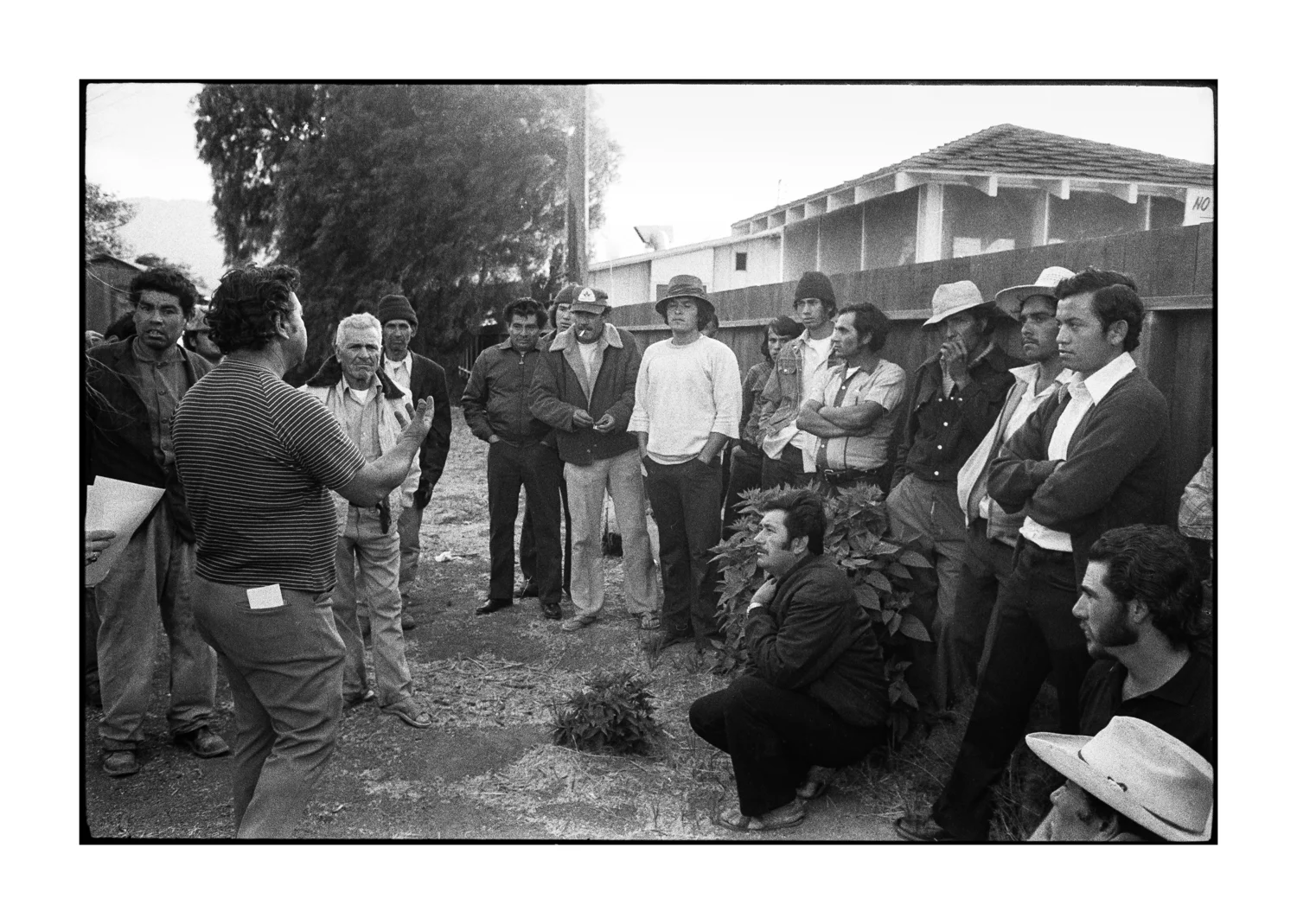 farmworkers-16.jpg
