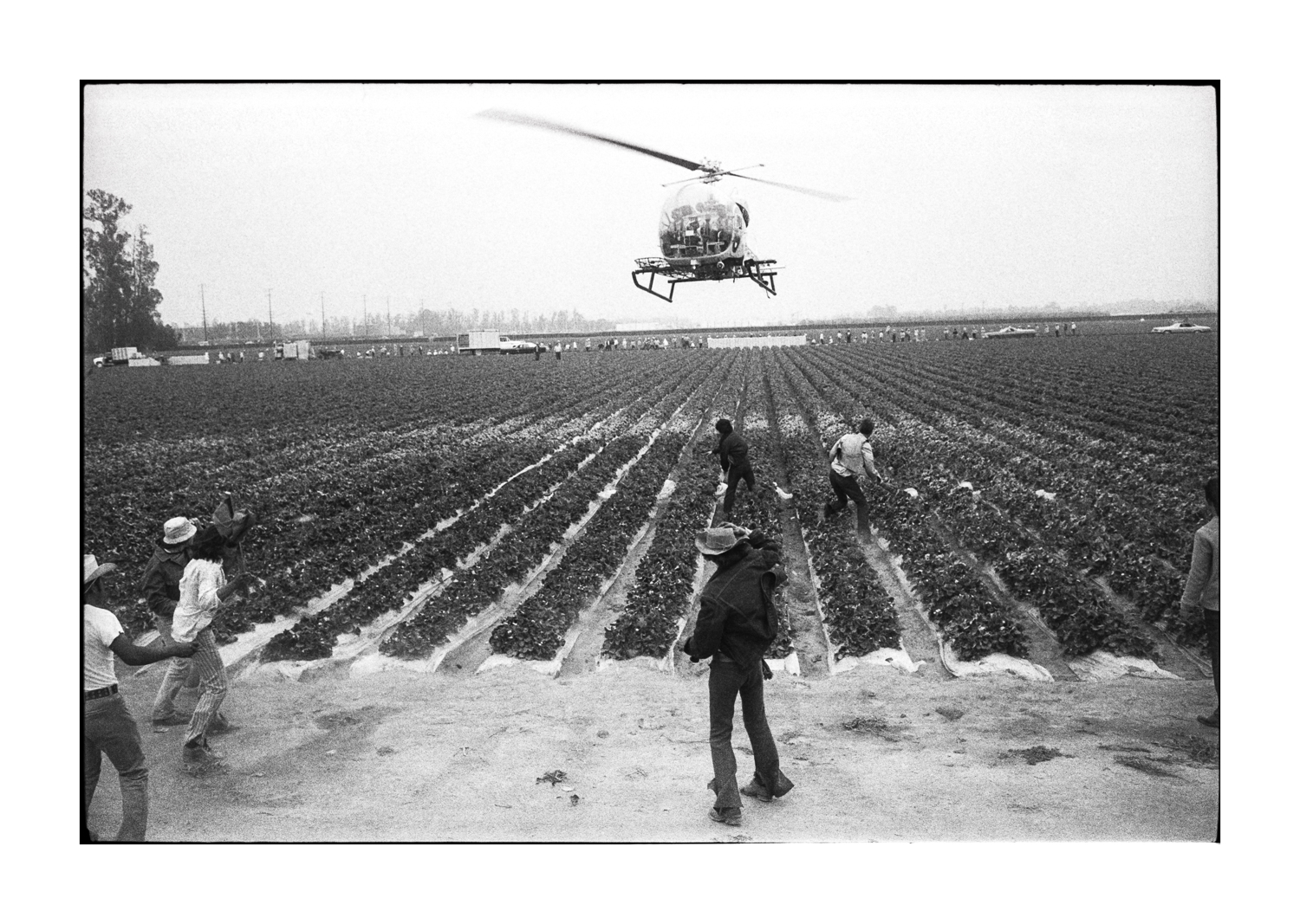 farmworkers-15.jpg