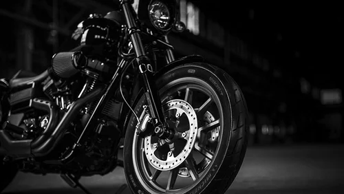 South County Cycles, business photo 5