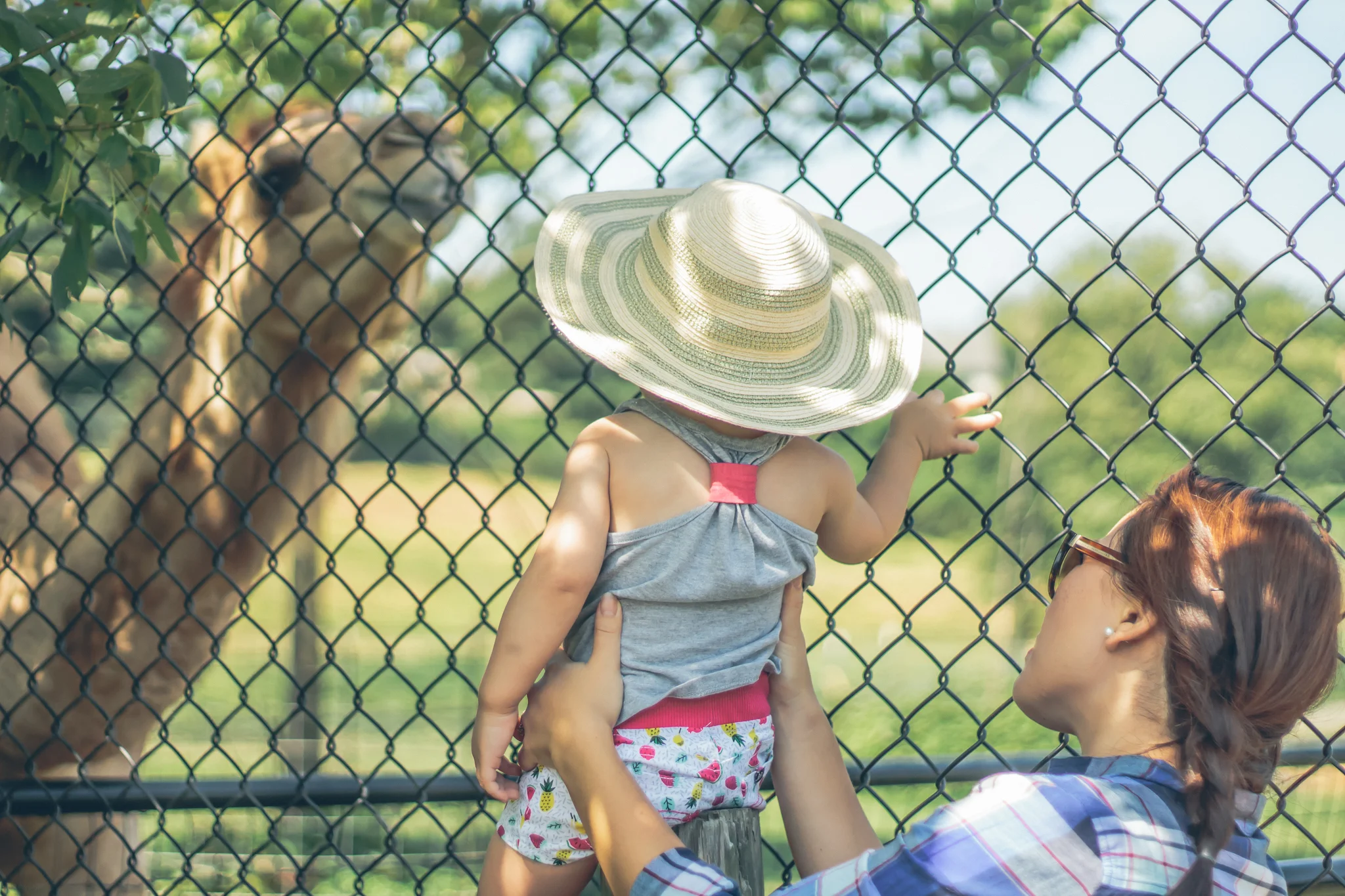zoo-31.jpg