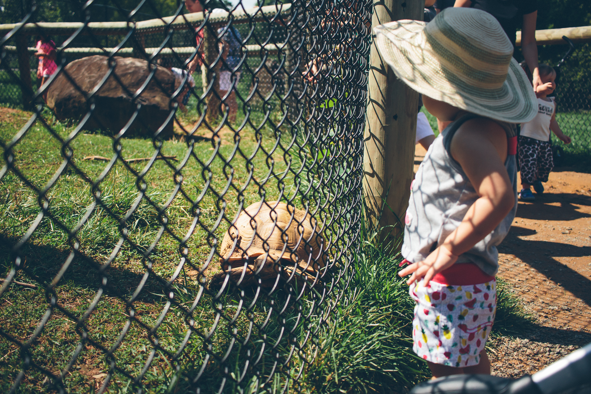 zoo-35.jpg