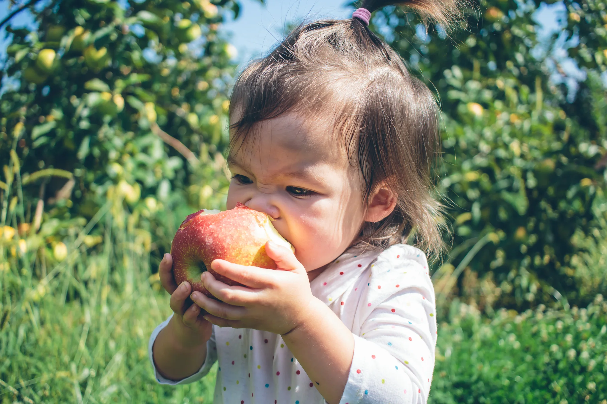 ApplePicking-5.jpg