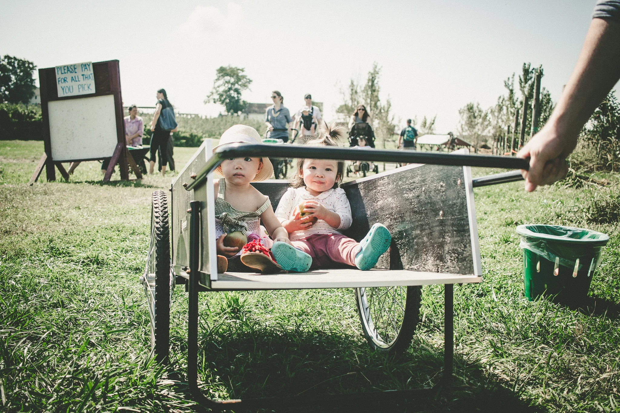 ApplePicking-9.jpg