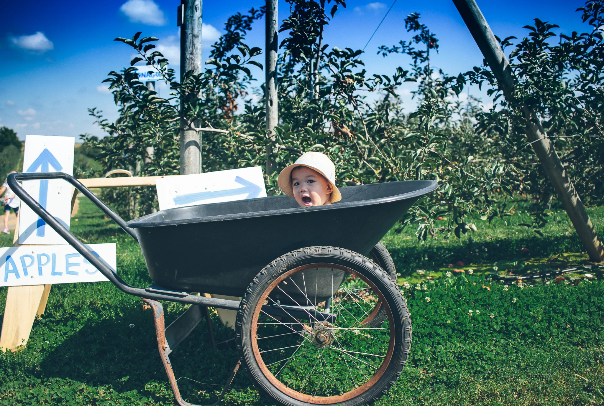 ApplePicking-11.jpg