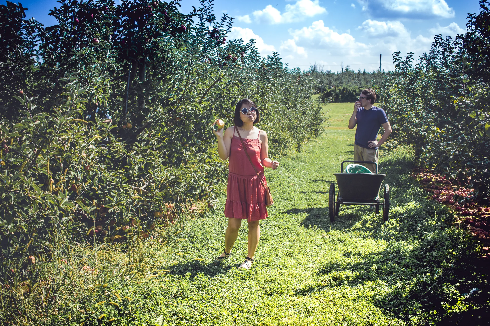 ApplePicking-13.jpg