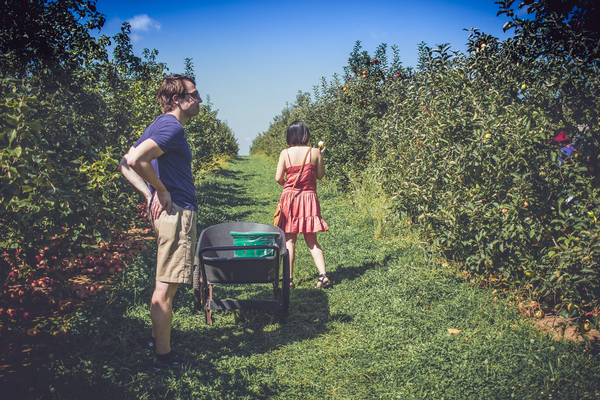 ApplePicking-14.jpg