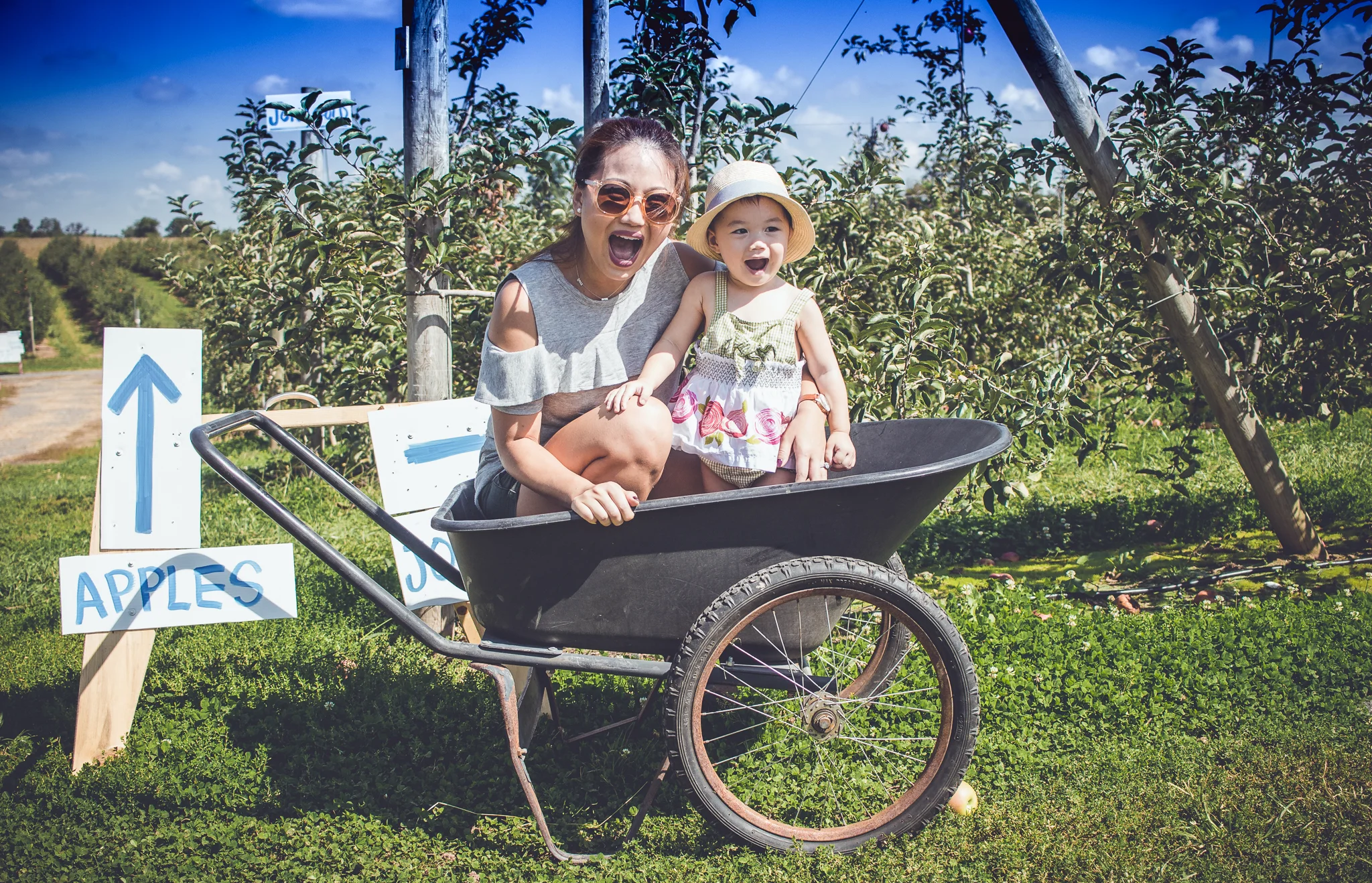 ApplePicking-22.jpg
