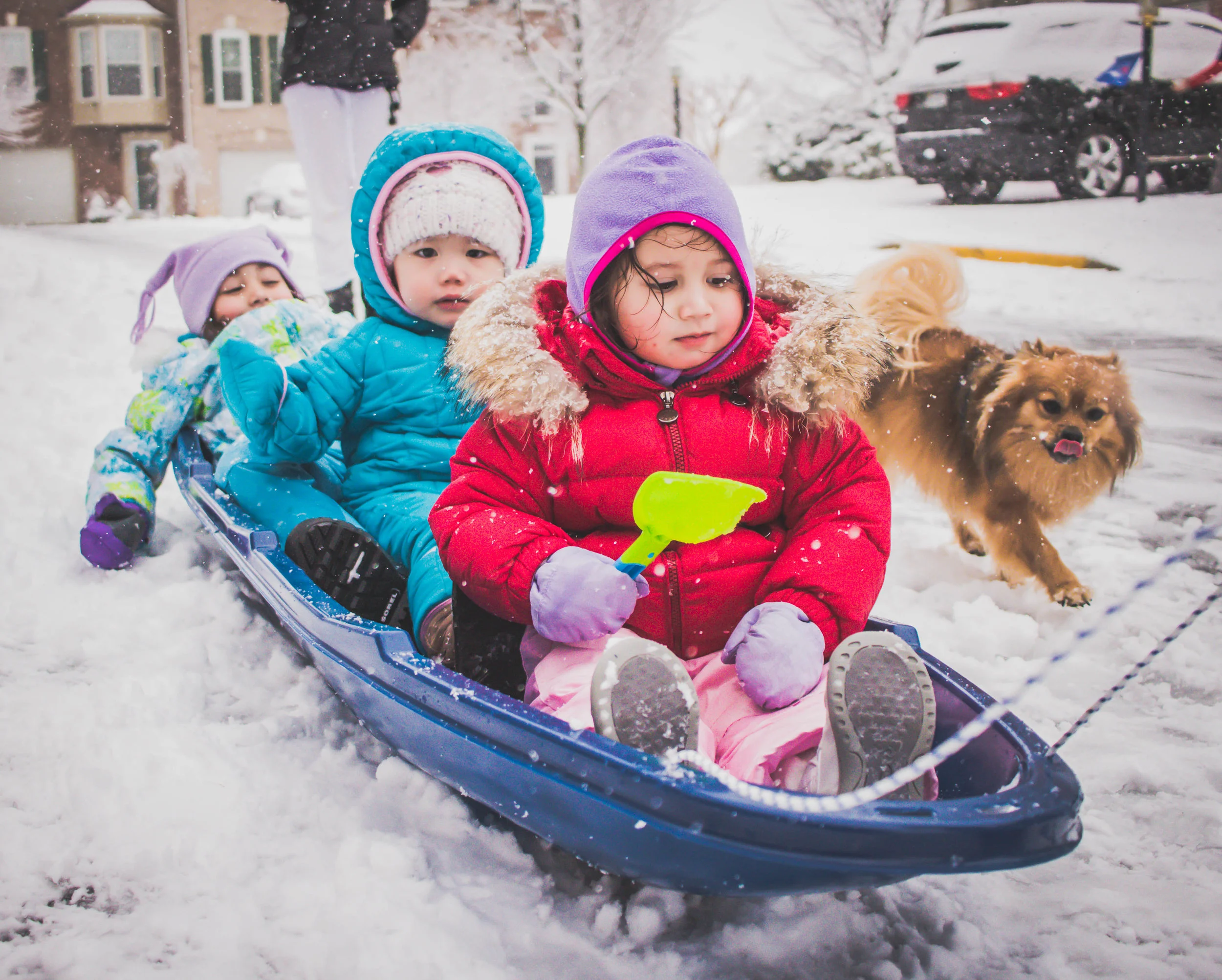 Snowday18-14.jpg