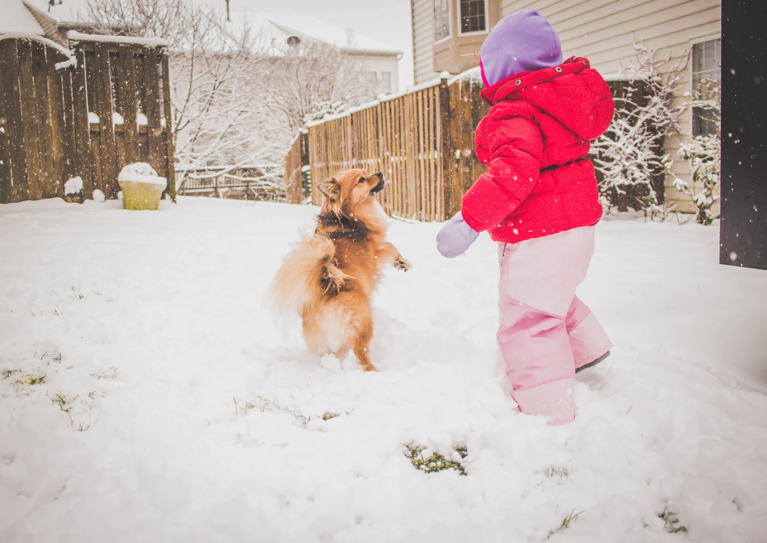 Snowday18-24.jpg
