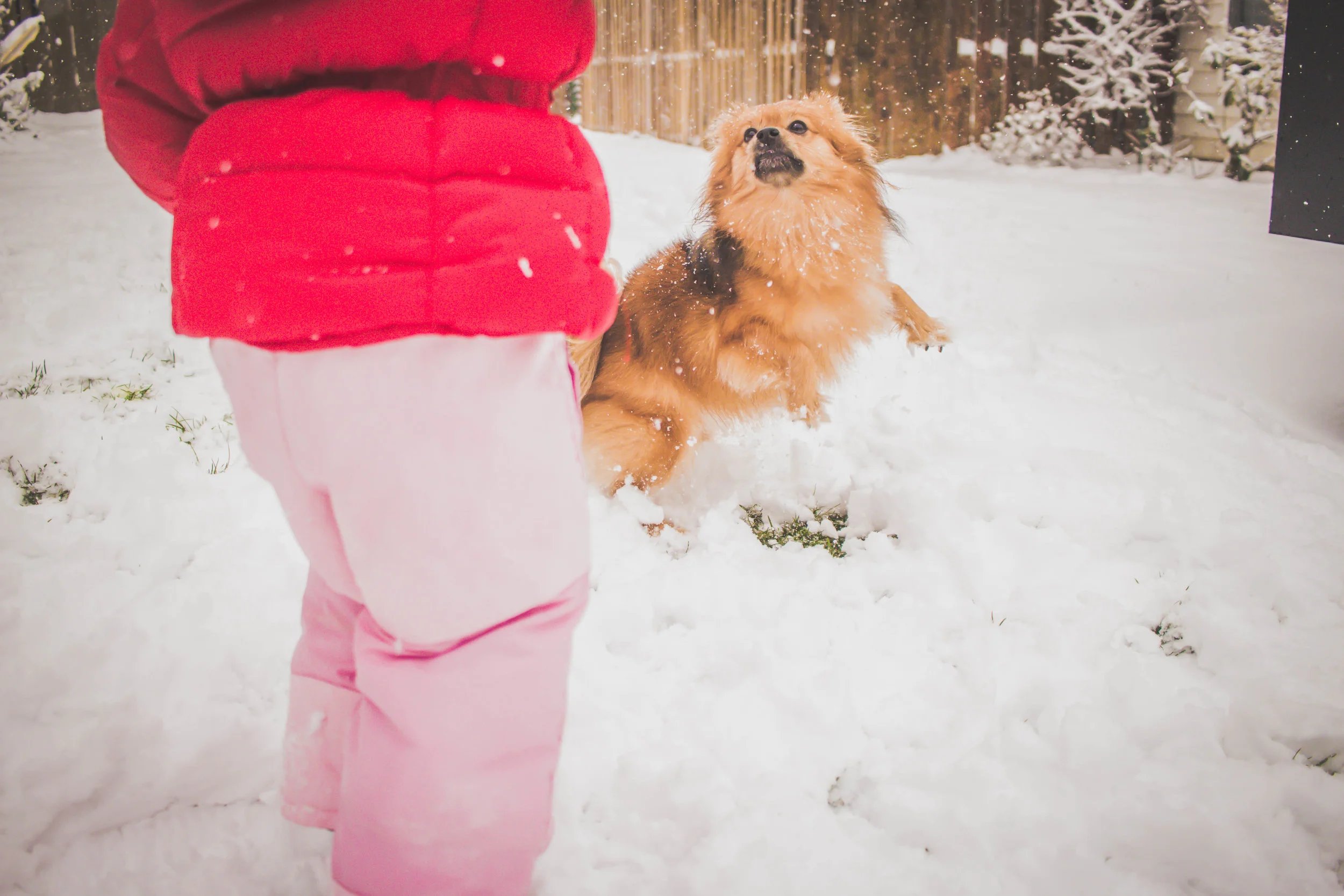 Snowday18-23.jpg