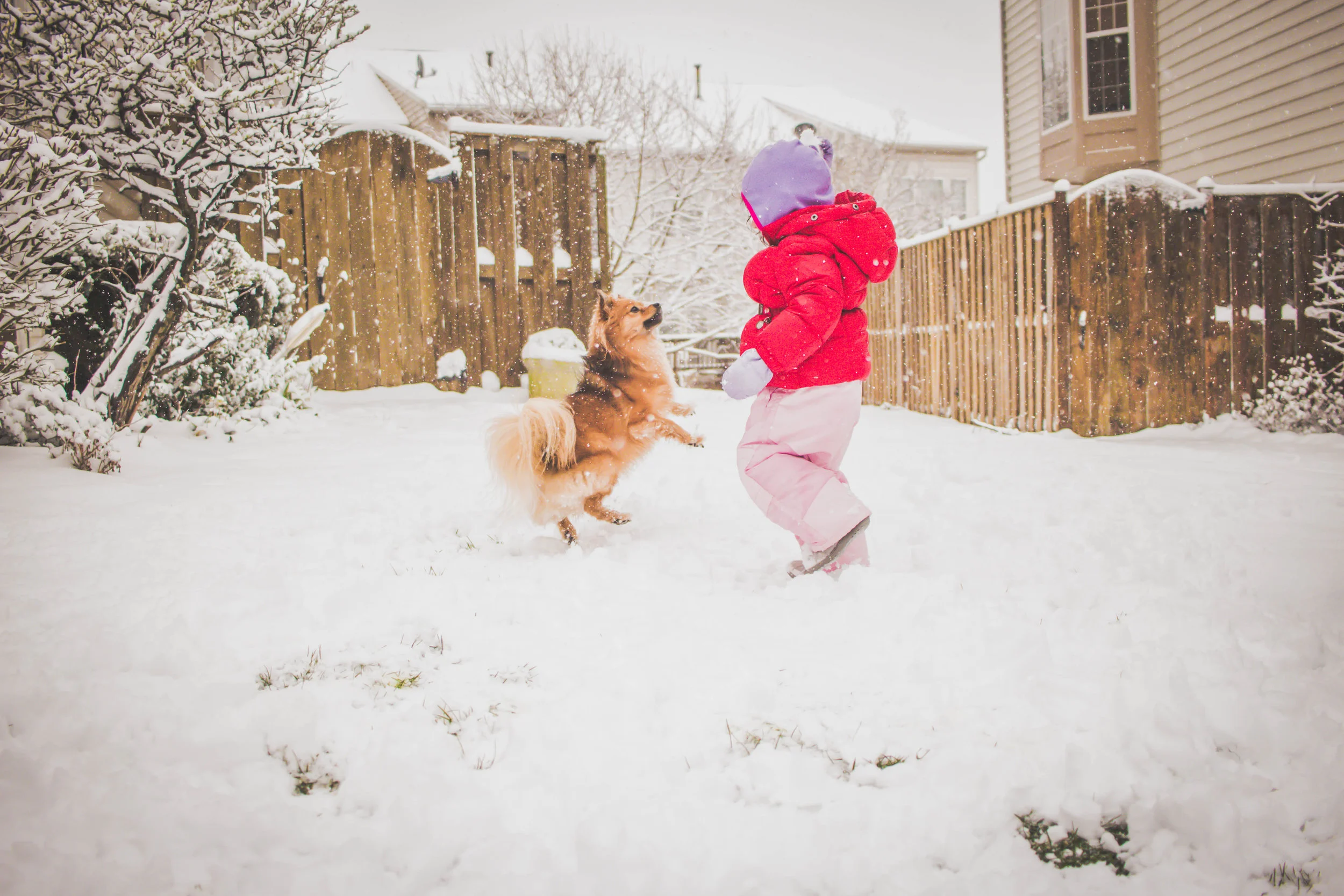 Snowday18-26.jpg