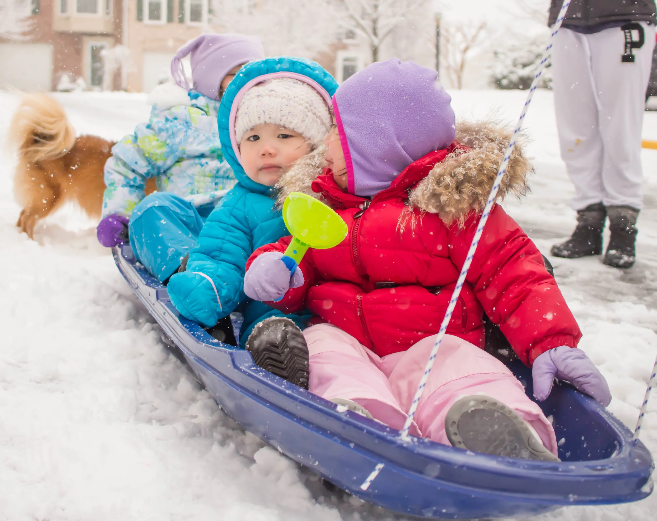 Snowday18-35.jpg