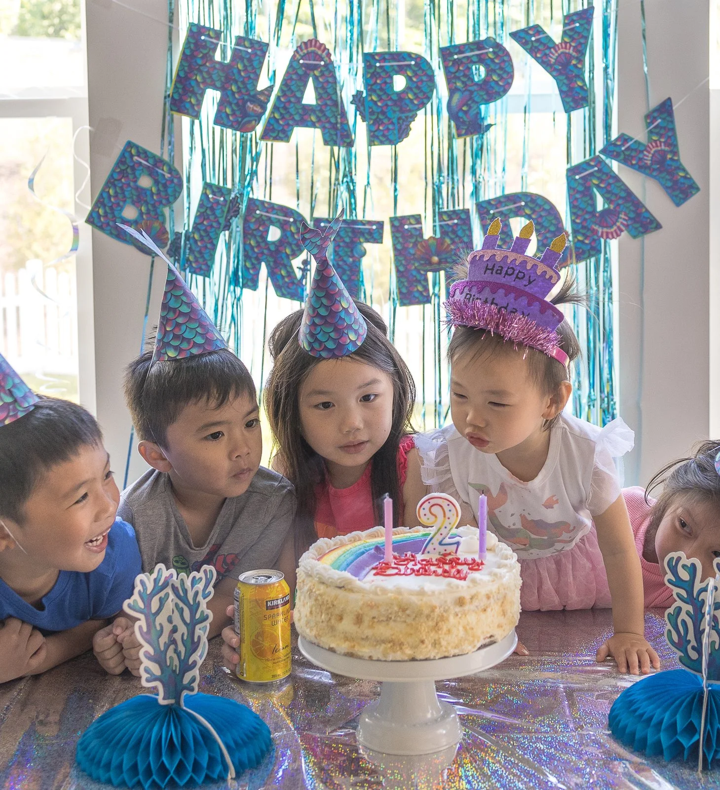 Ella 2 Birthday-24.jpg