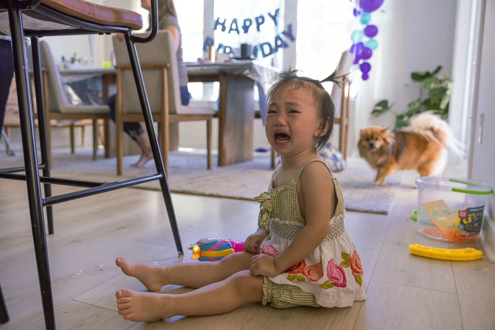 Ella 2 Birthday-10.jpg
