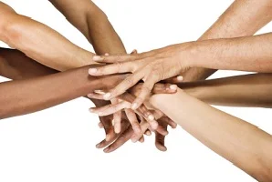 transverse mentoring program