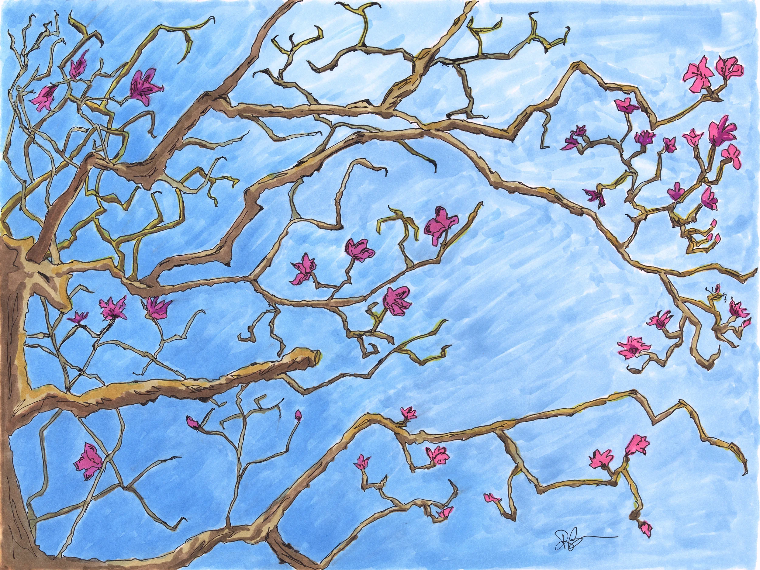 Magnolia Tree 2018 small.jpg