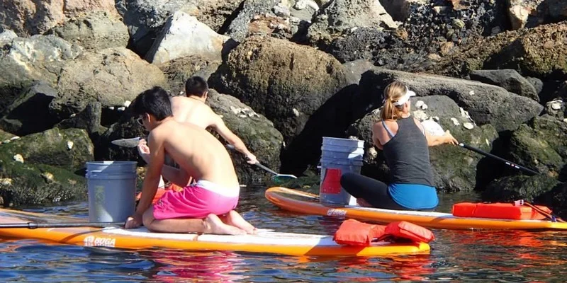 Paddle Clean up.jpg