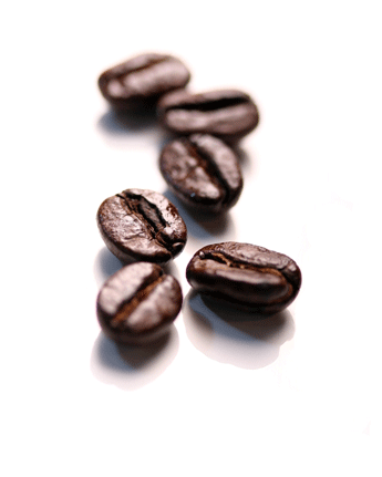 Six roasted coffee beans on a white background